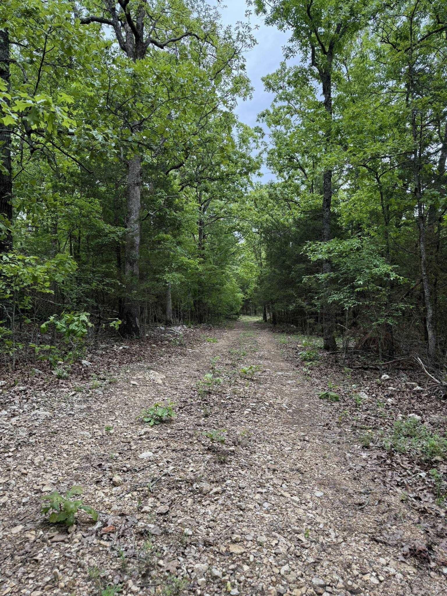 40  Ridge Road  Hardy, AR