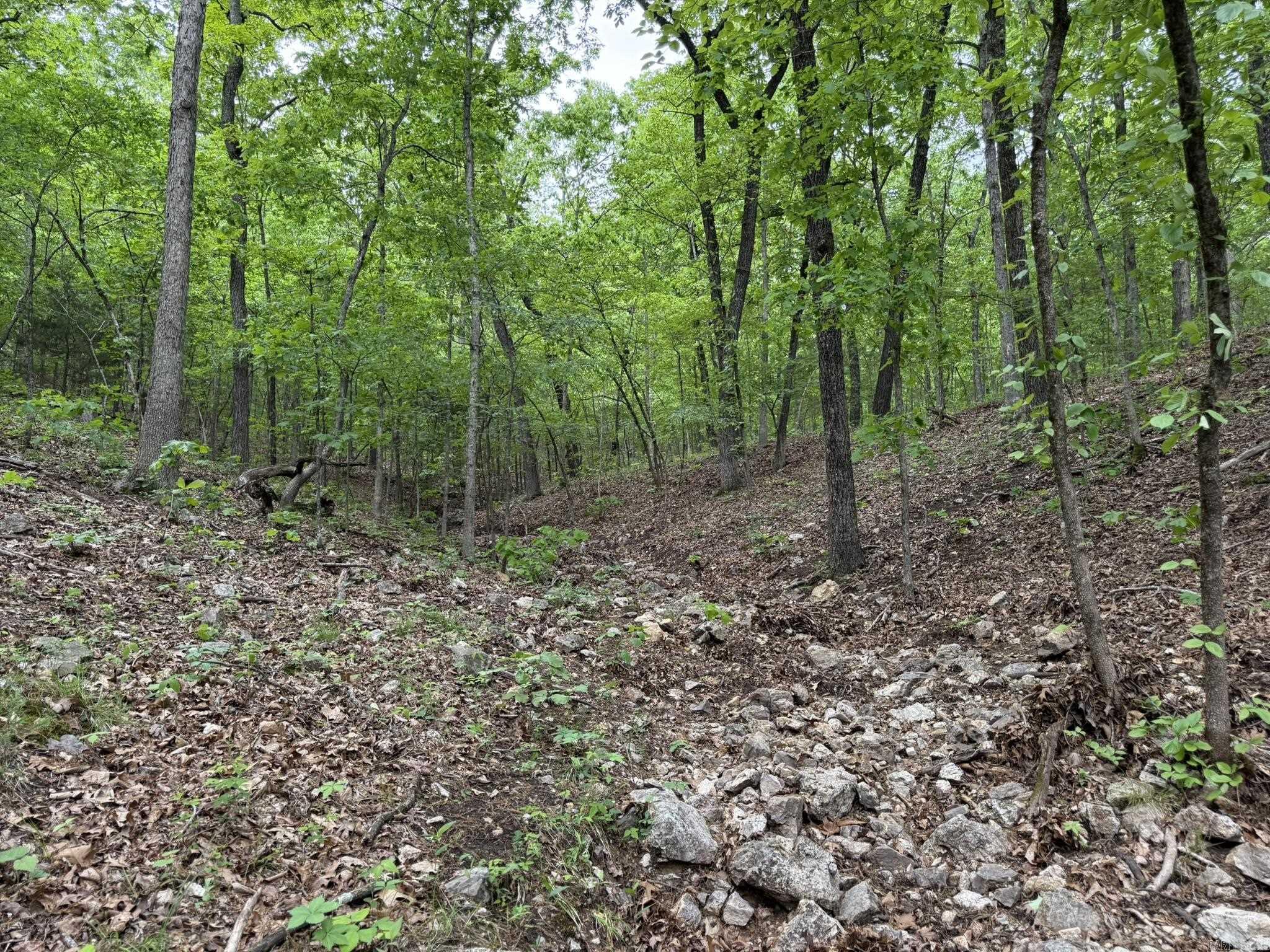 40  Ridge Road  Hardy, AR