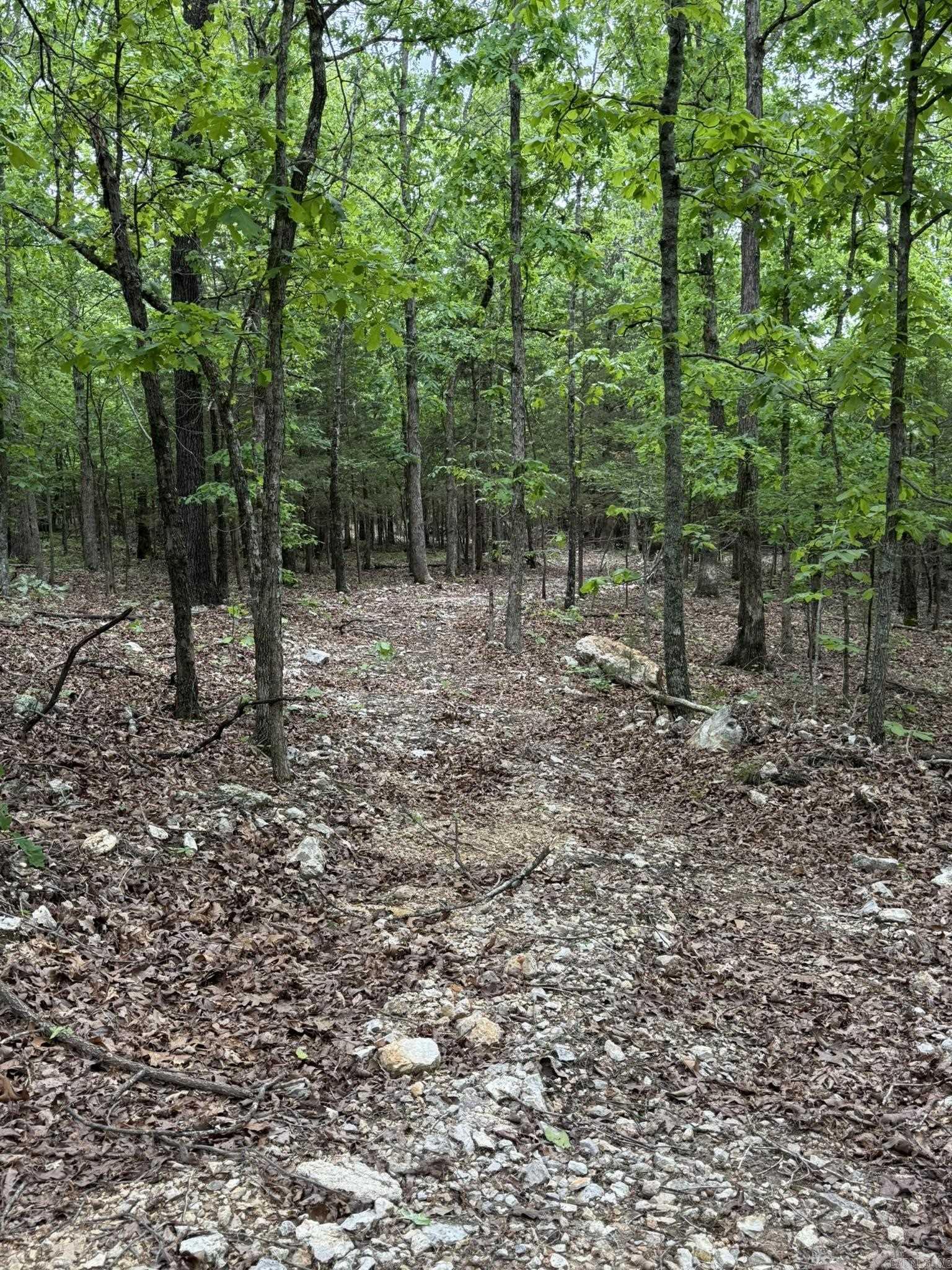 40  Ridge Road  Hardy, AR