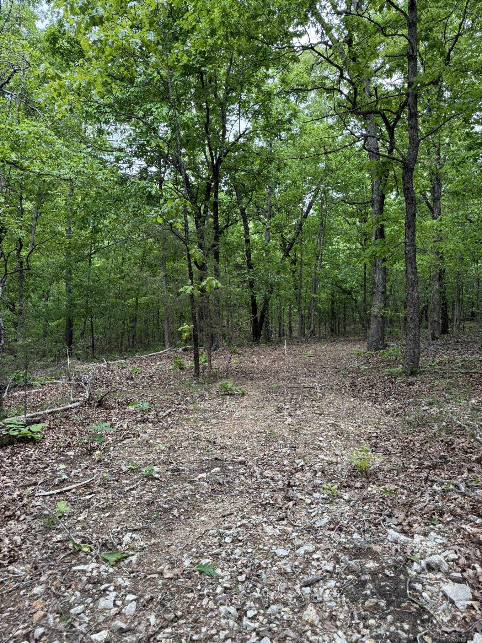 40  Ridge Road  Hardy, AR
