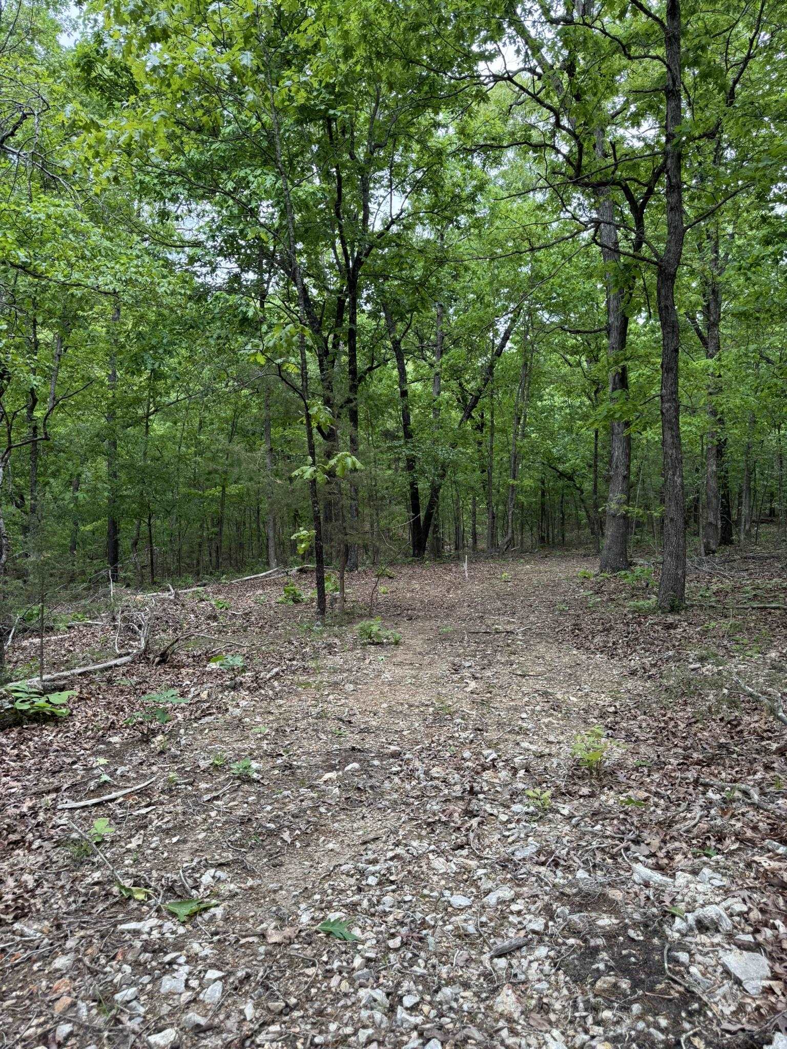 40 Ridge Road  Hardy, AR