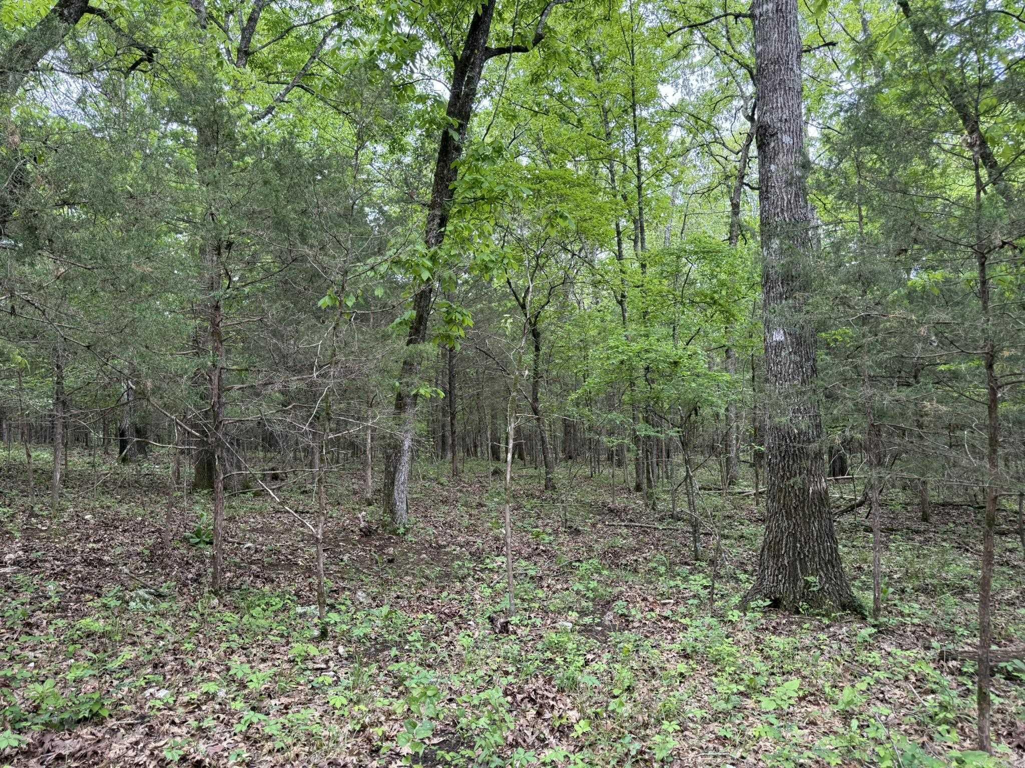 40  Ridge Road  Hardy, AR
