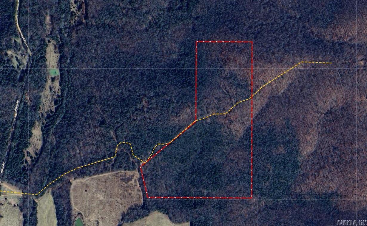 40 Ridge Road  Hardy, AR