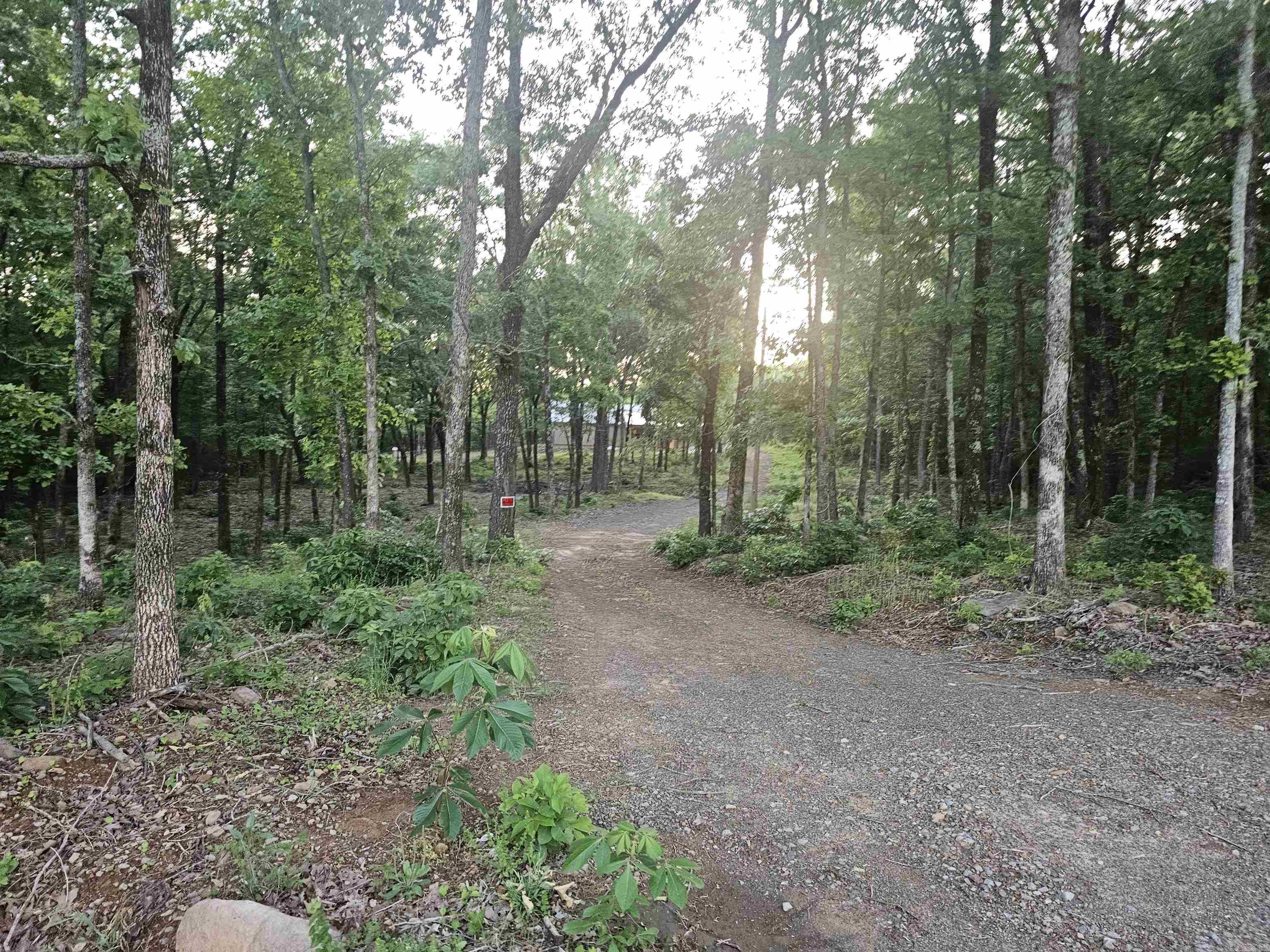14411  Arnies Valley  Cabot, AR