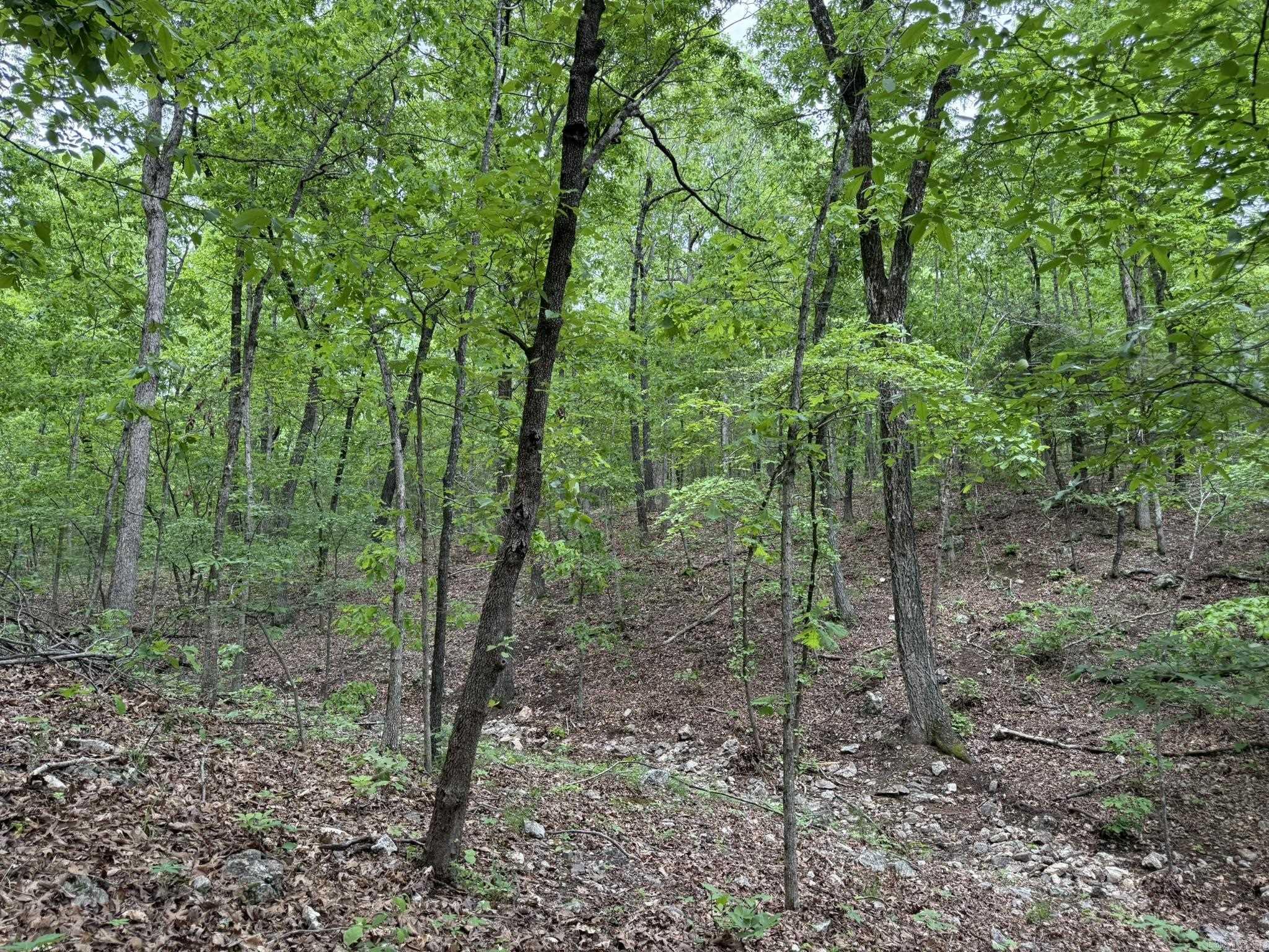 18  Ridge Road  Hardy, AR