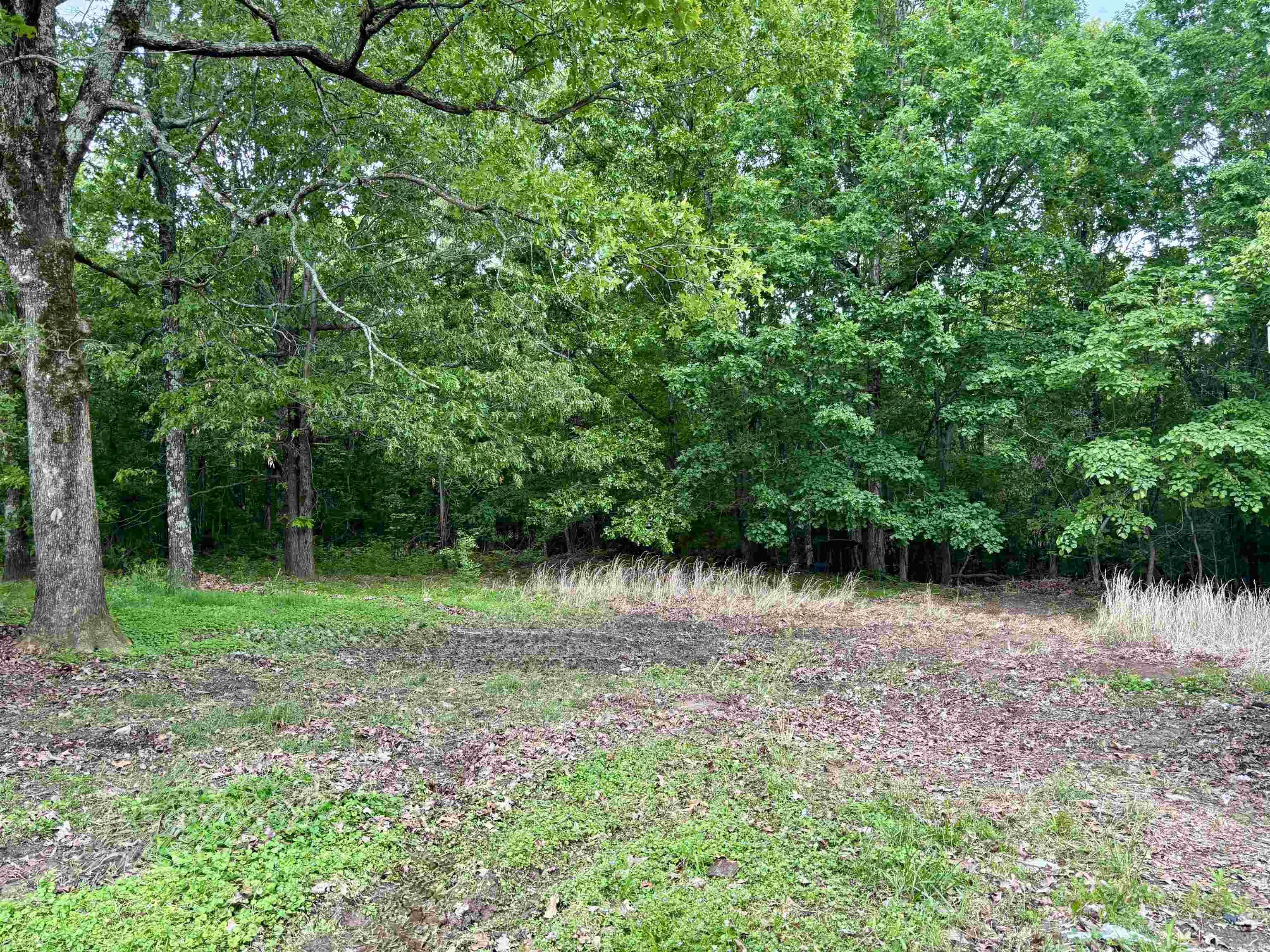 95  Greene 763  Paragould, AR