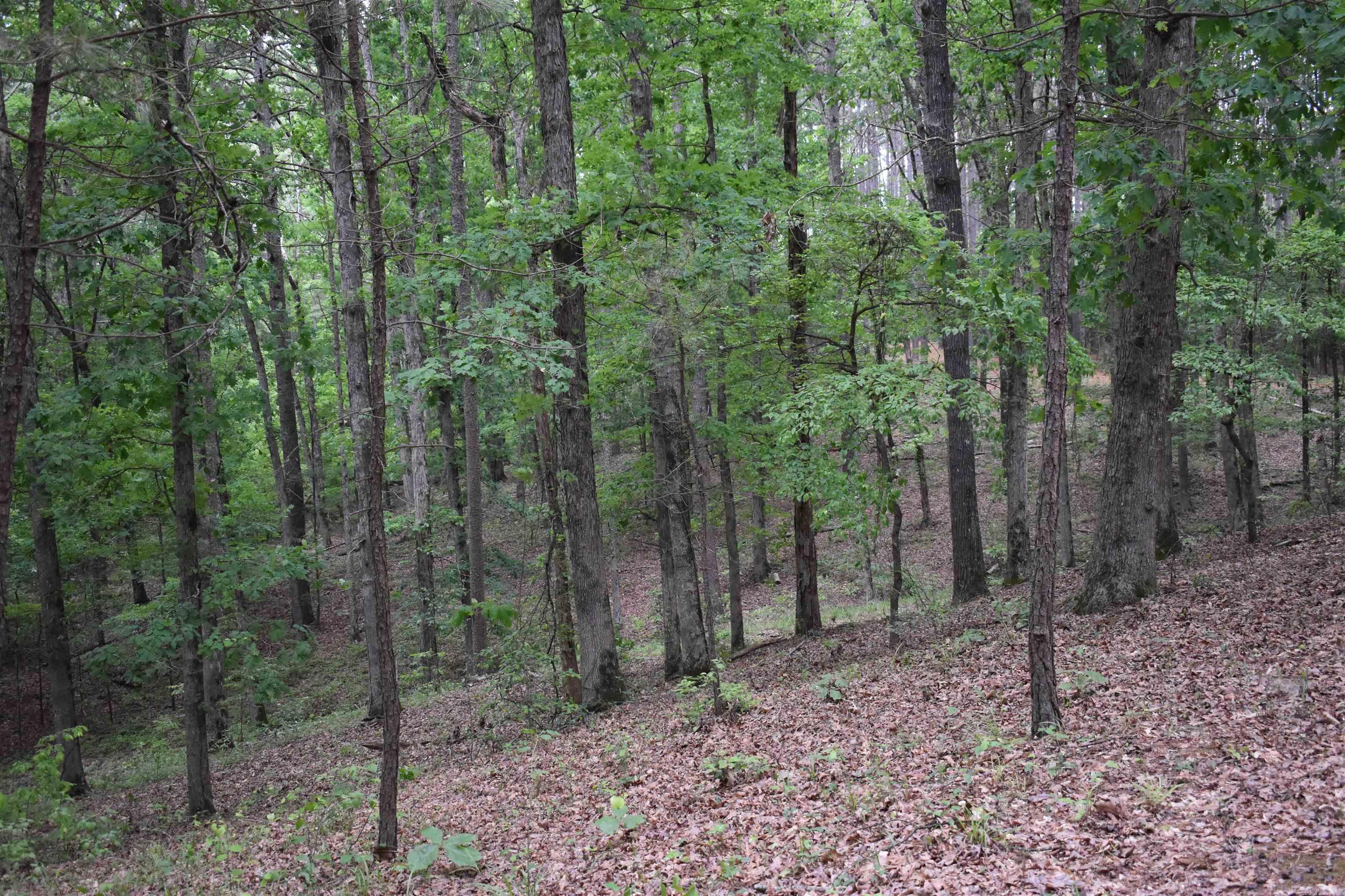 255  Mount Carmel  Dierks, AR