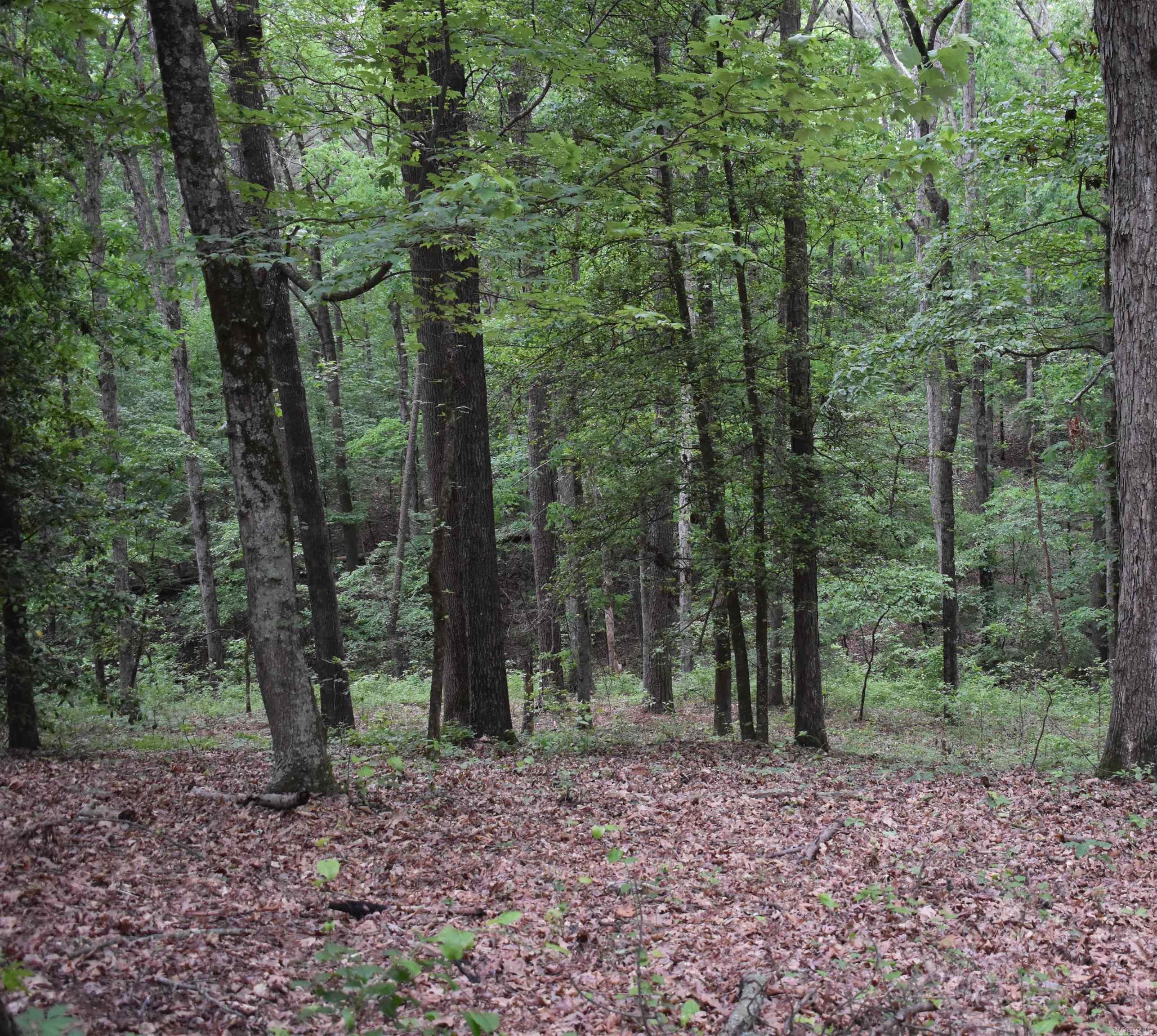 255  Mount Carmel  Dierks, AR