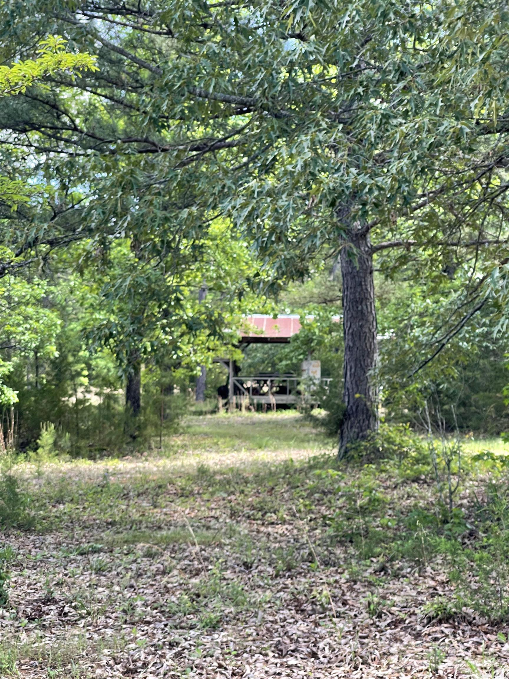 9999  Quail Drive  Boles, AR