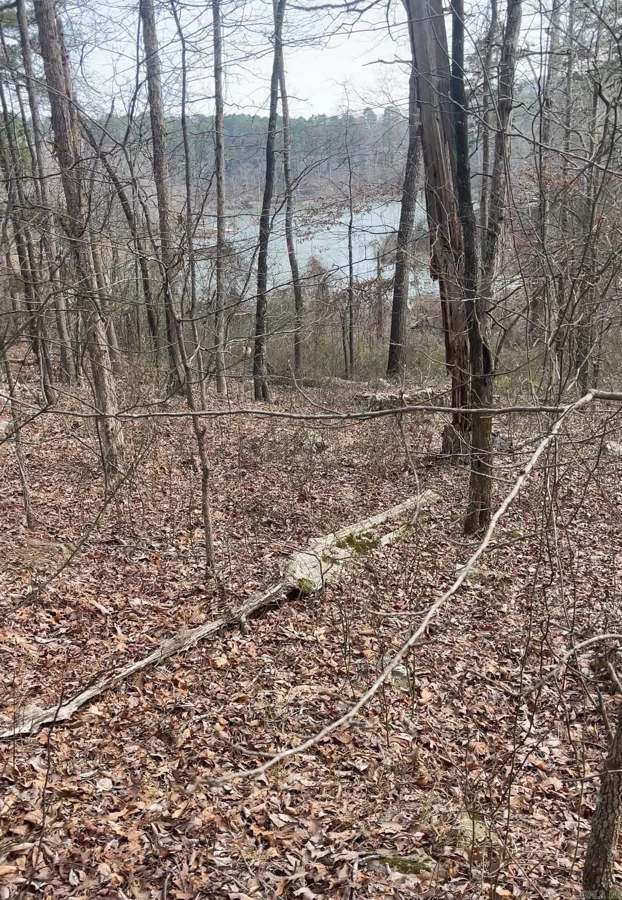 00  Mayhand Rd.  Shirley, AR