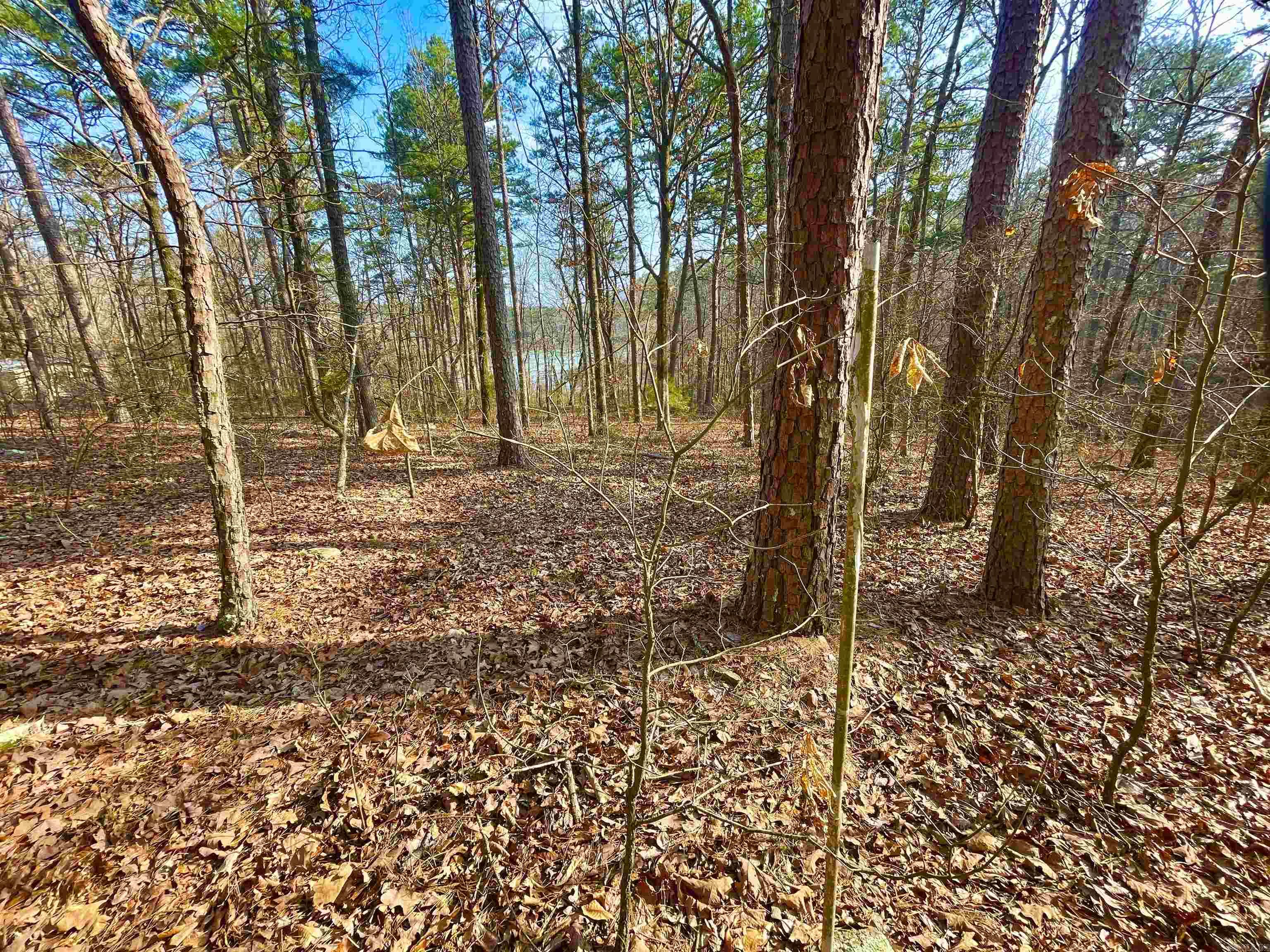 00  Mayhand Rd.  Shirley, AR