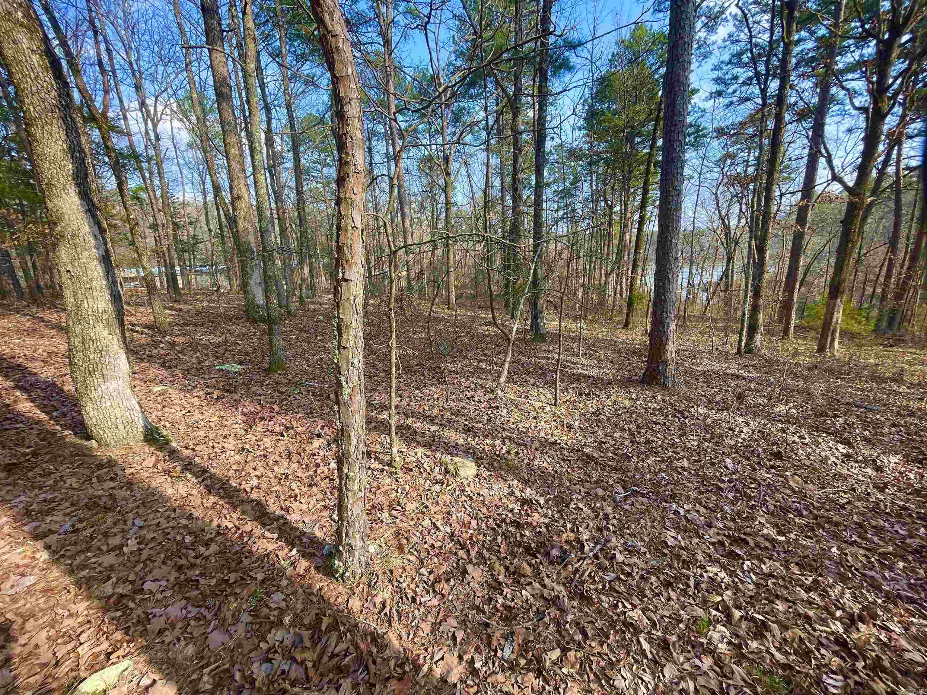 00  Mayhand Rd.  Shirley, AR