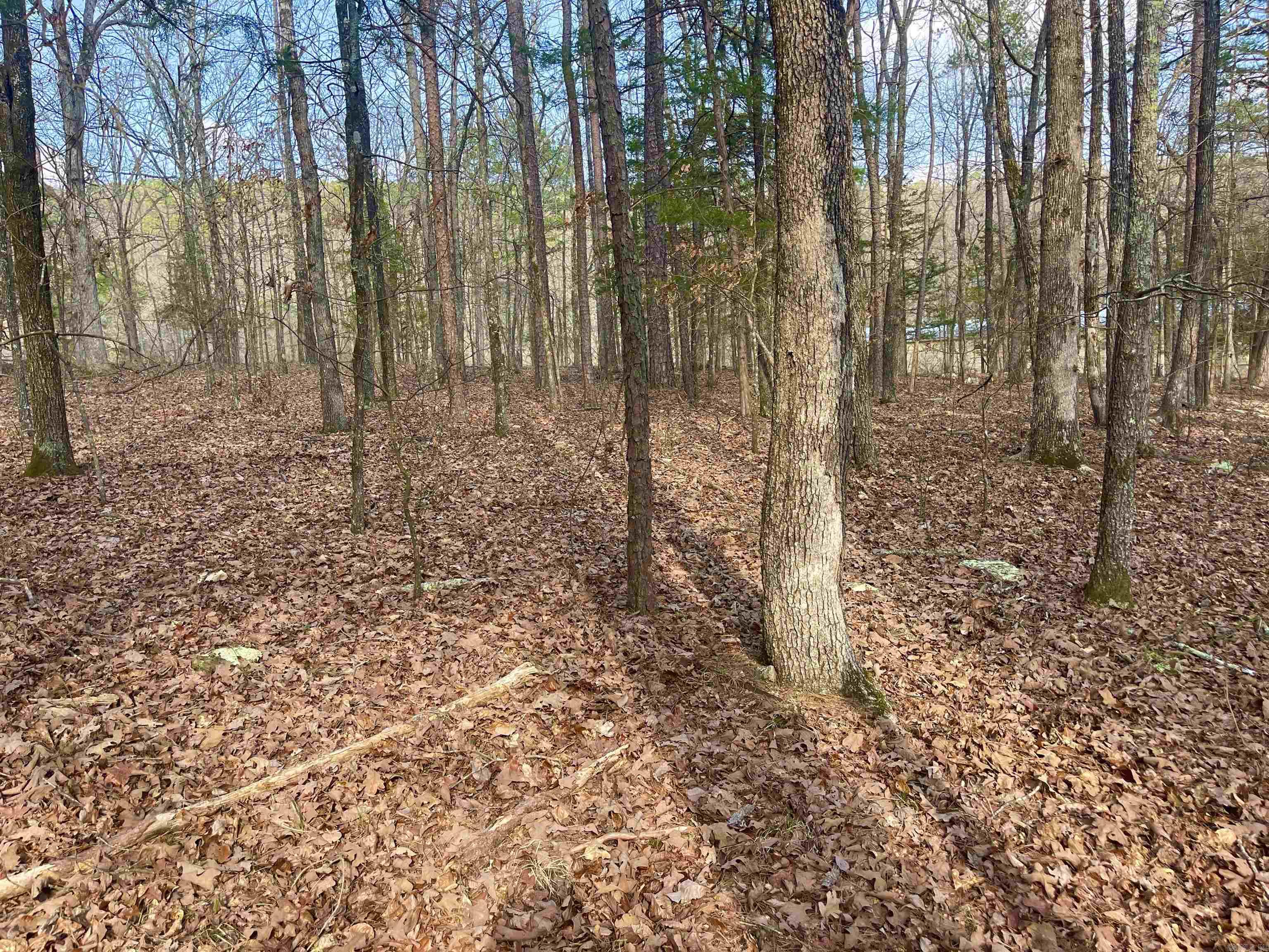 00  Mayhand Rd.  Shirley, AR