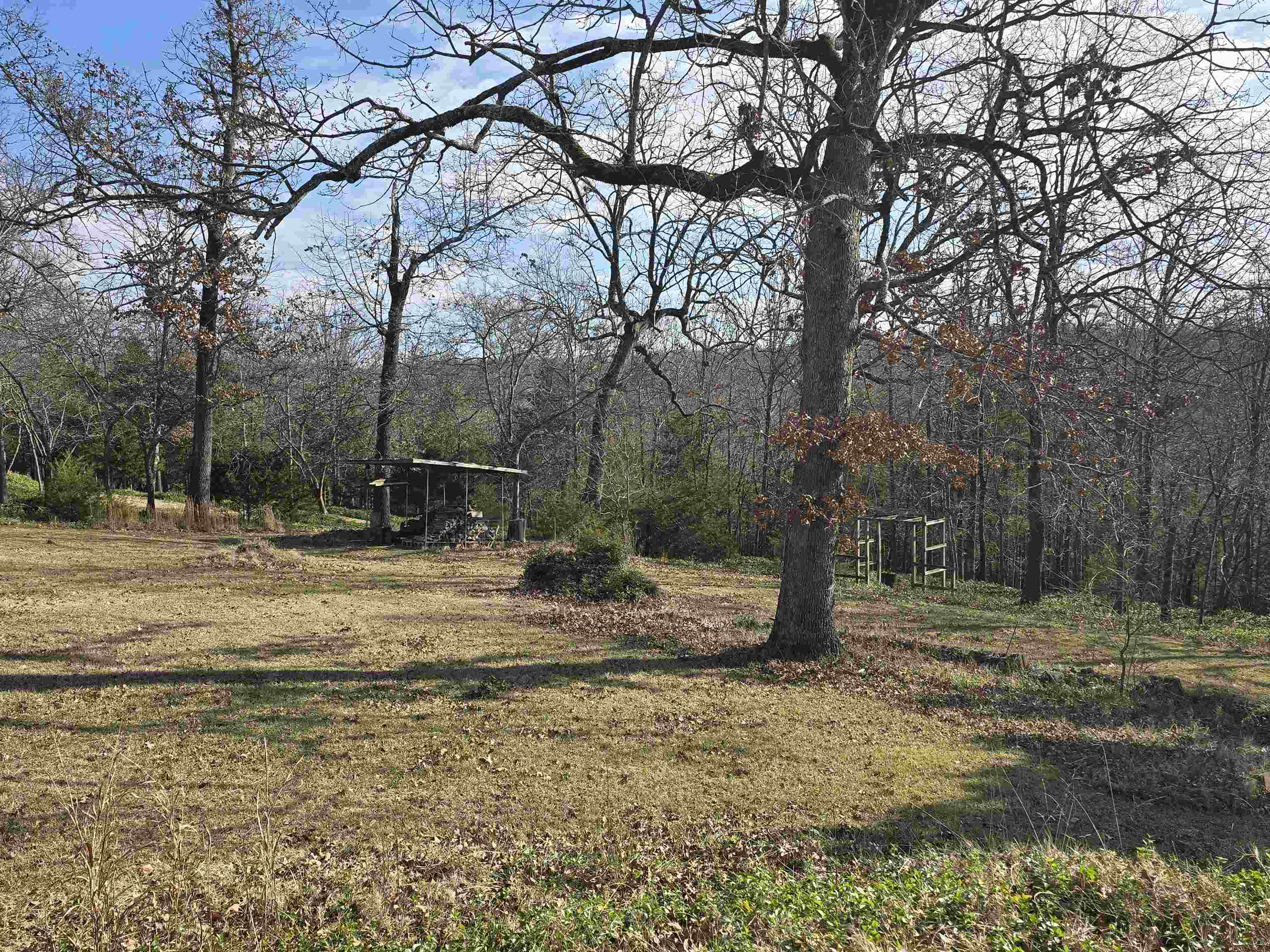 1100  Nubbin Ridge  Lakeview, AR