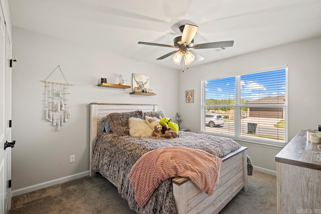 5901  Utah Cove  Alexander, AR