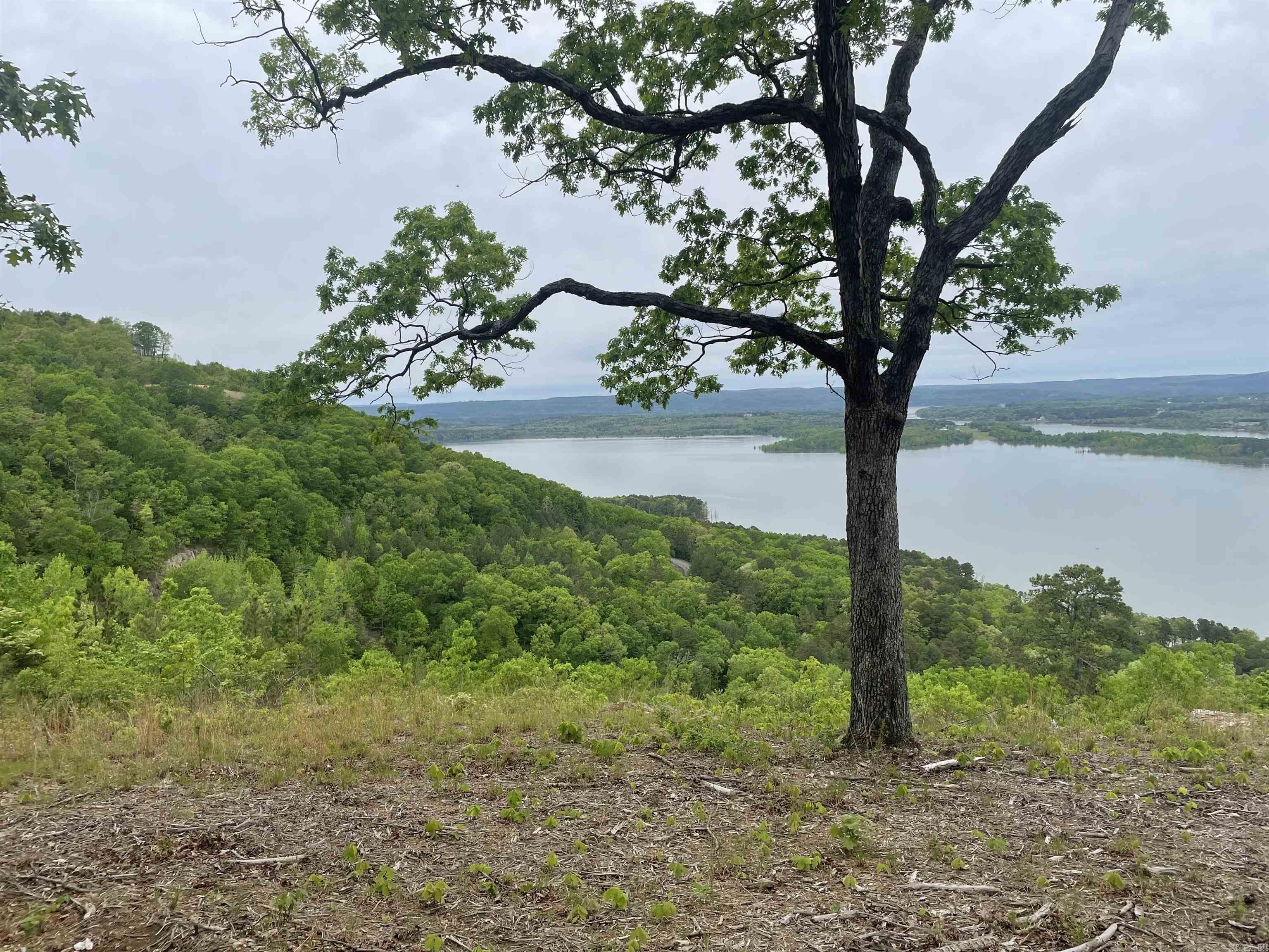 0 Diamond Bluff Road Quitman, AR 72131