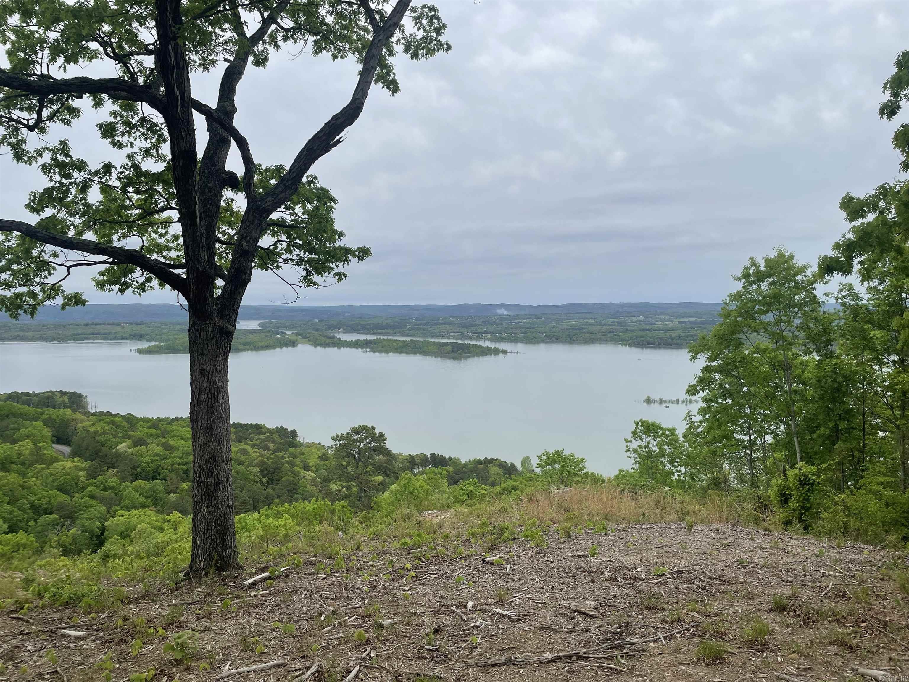 0 Diamond Bluff Road Quitman, AR 72131