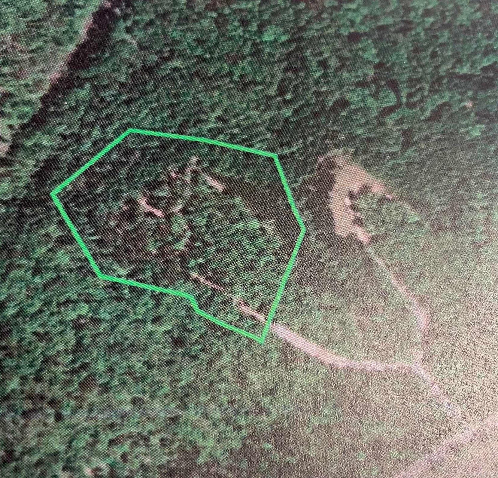 0 Diamond Bluff Road Quitman, AR 72131