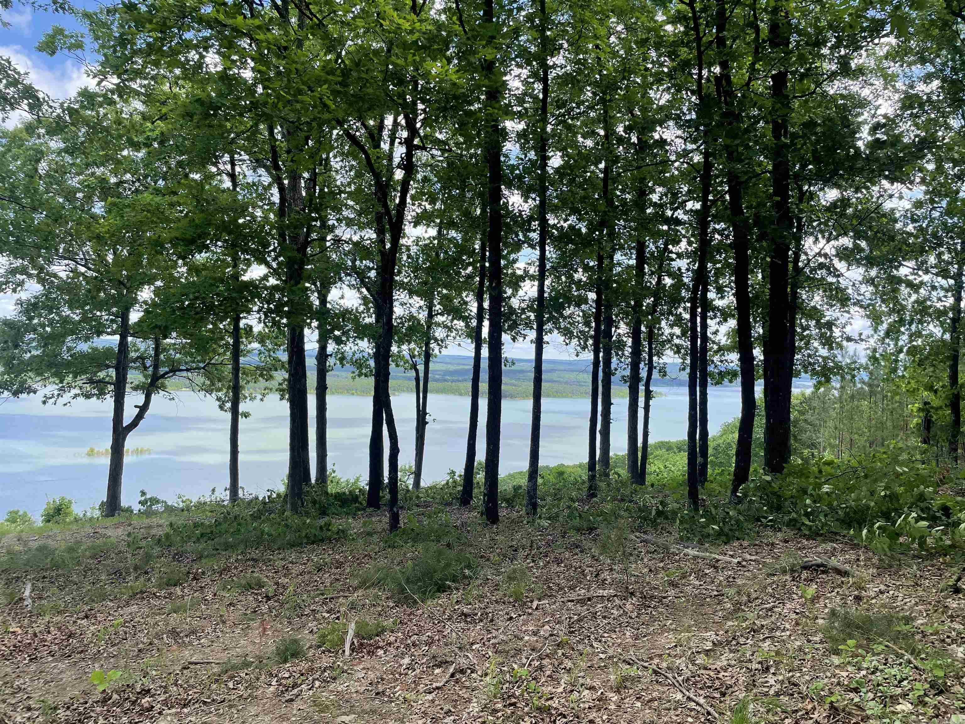 0 Diamond Bluff Road Quitman, AR 72131