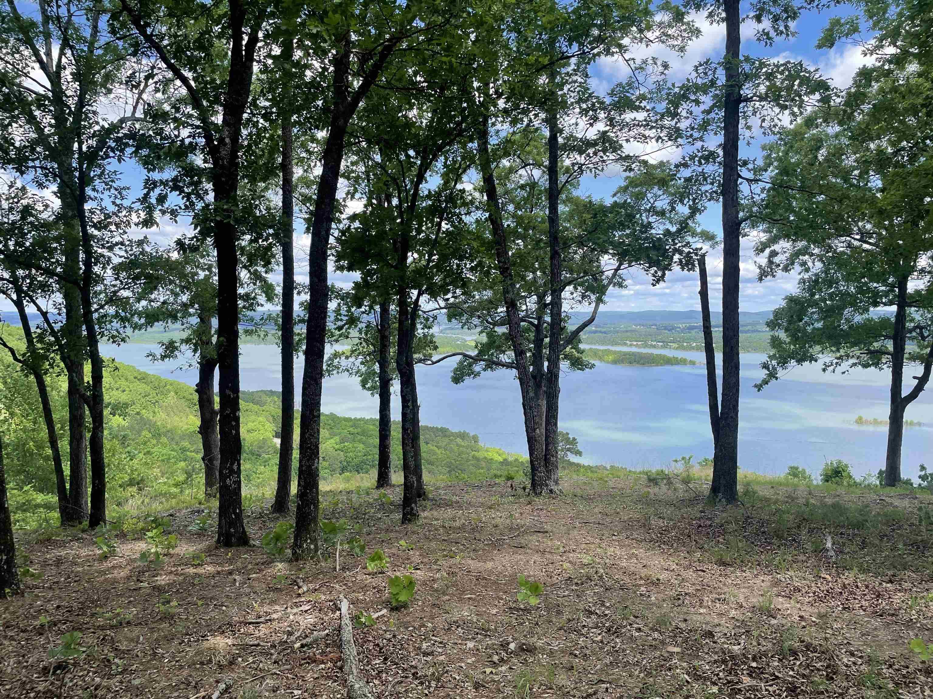 0 Diamond Bluff Road Quitman, AR 72131