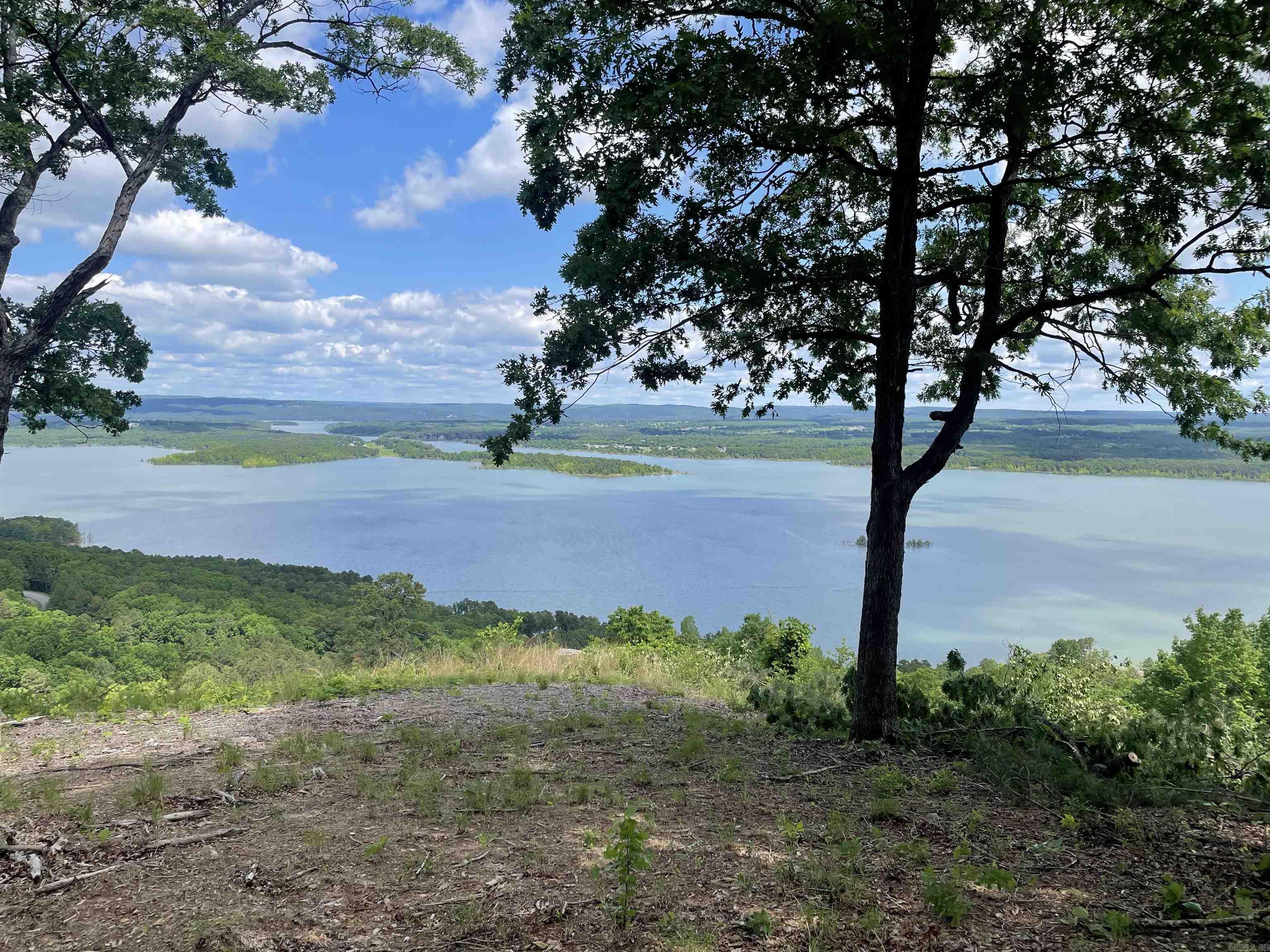 0 Diamond Bluff Road Quitman, AR 72131