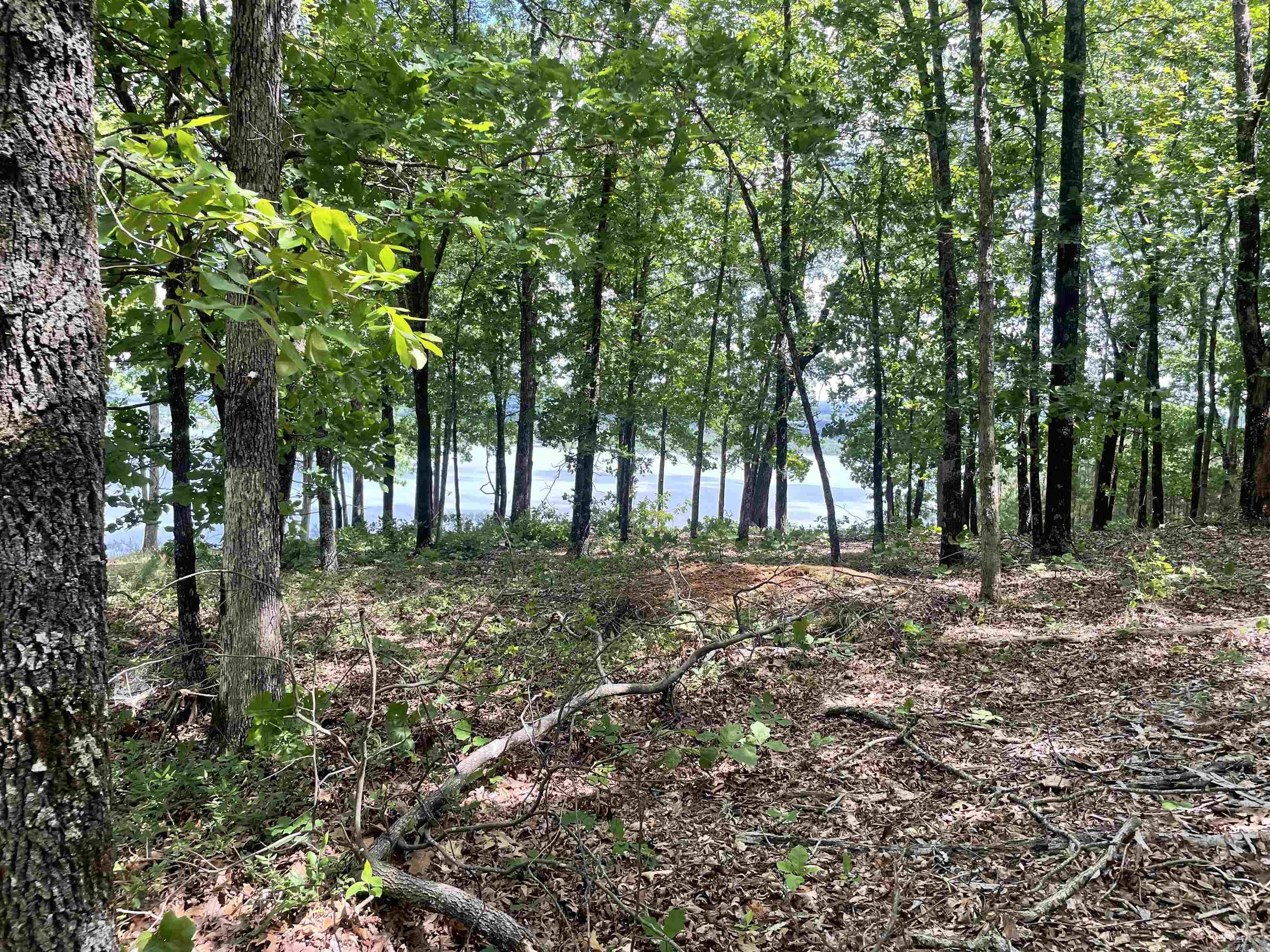0 Diamond Bluff Road Quitman, AR 72131