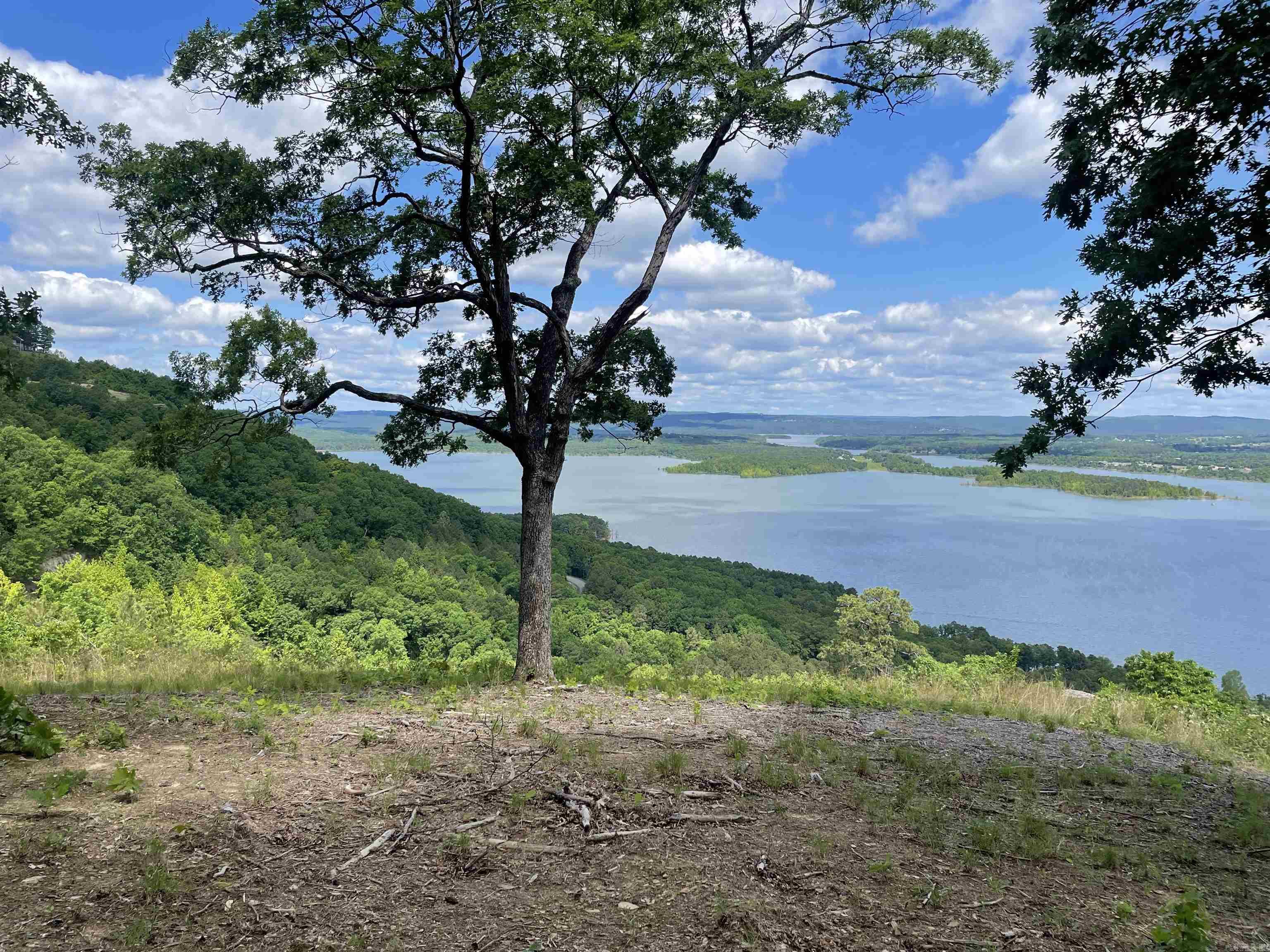 0 Diamond Bluff Road Quitman, AR 72131