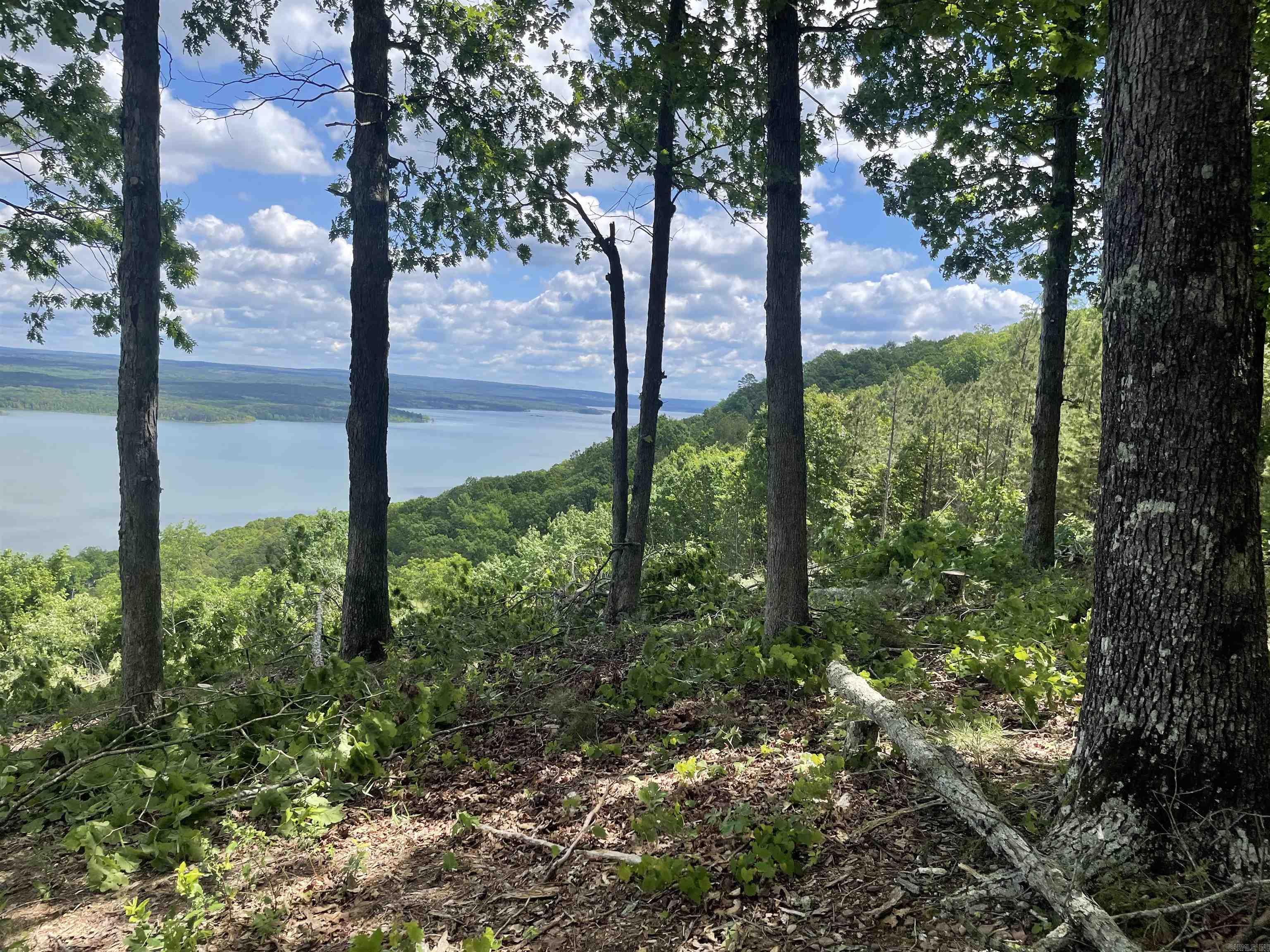 0 Diamond Bluff Road Quitman, AR 72131