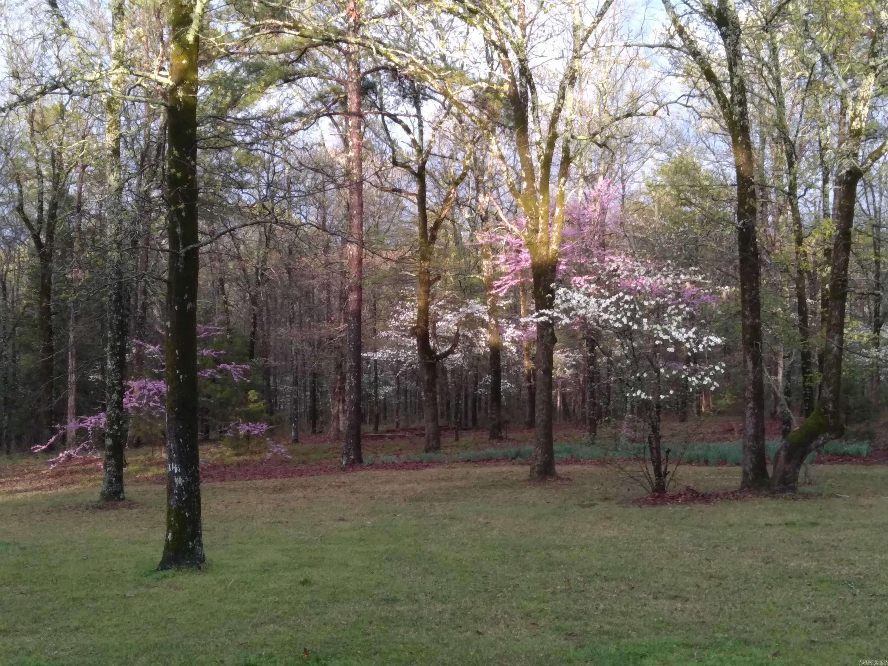 1494 N Miller Point  Quitman, AR