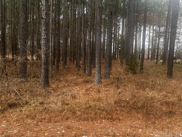 49  Victoria  Hot Springs Village, AR