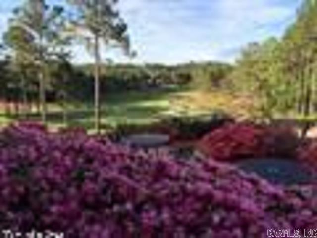49  Victoria  Hot Springs Village, AR