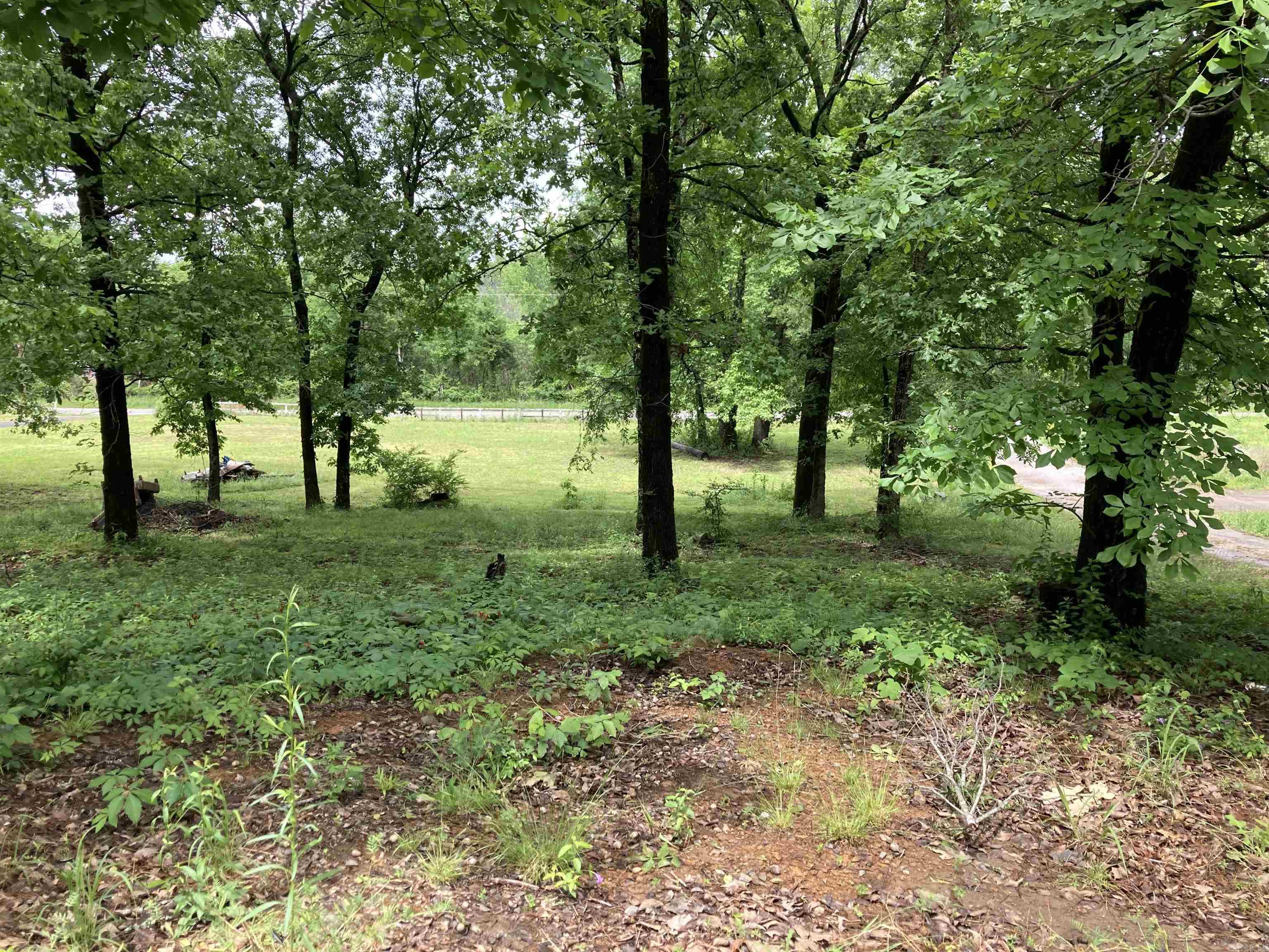 69  Otto  Vilonia, AR