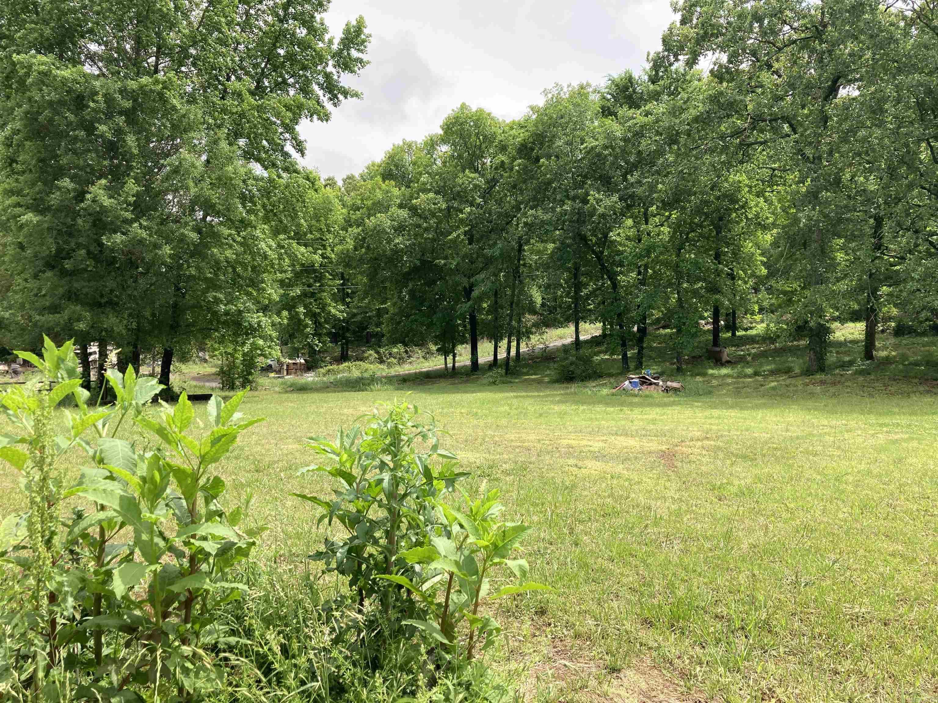 69  Otto  Vilonia, AR