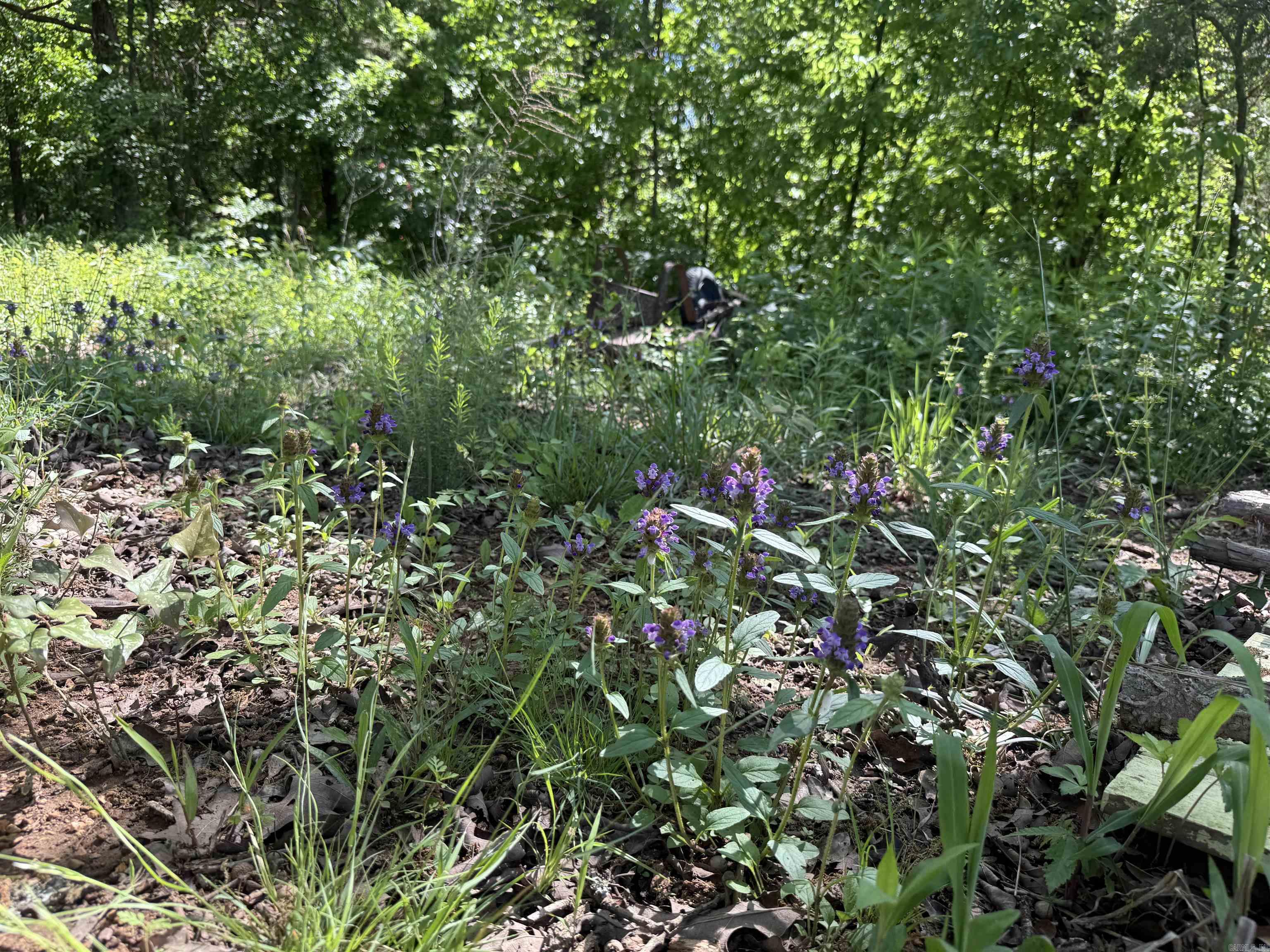 998  Mill Creek Road  Poughkeepsie, AR