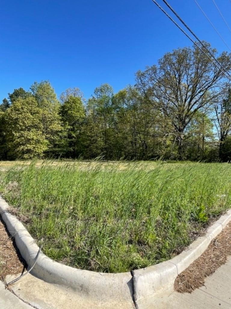 Lot 1  Farmer Hills  Jonesboro, AR