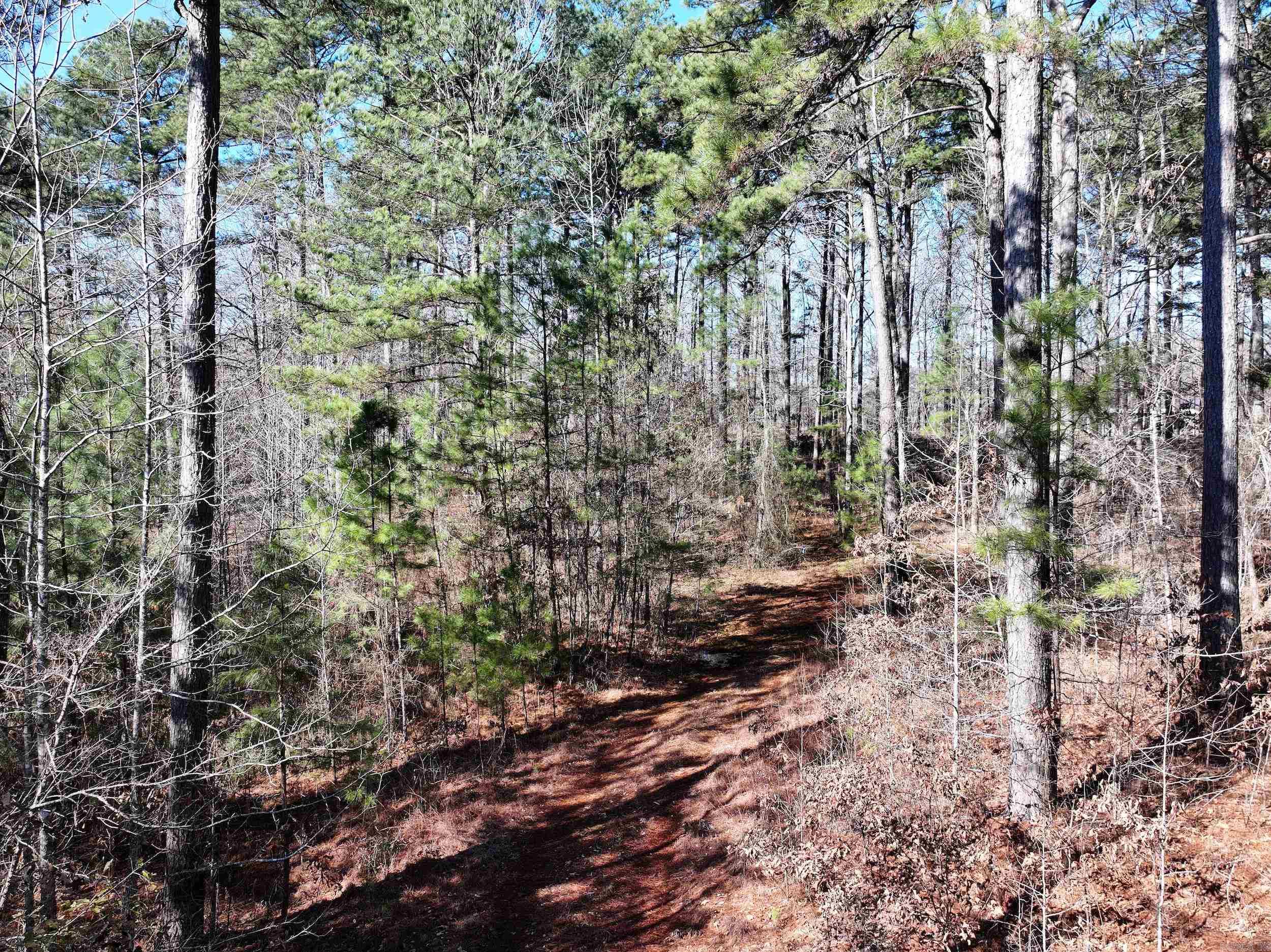 0000  Brushy  Amity, AR