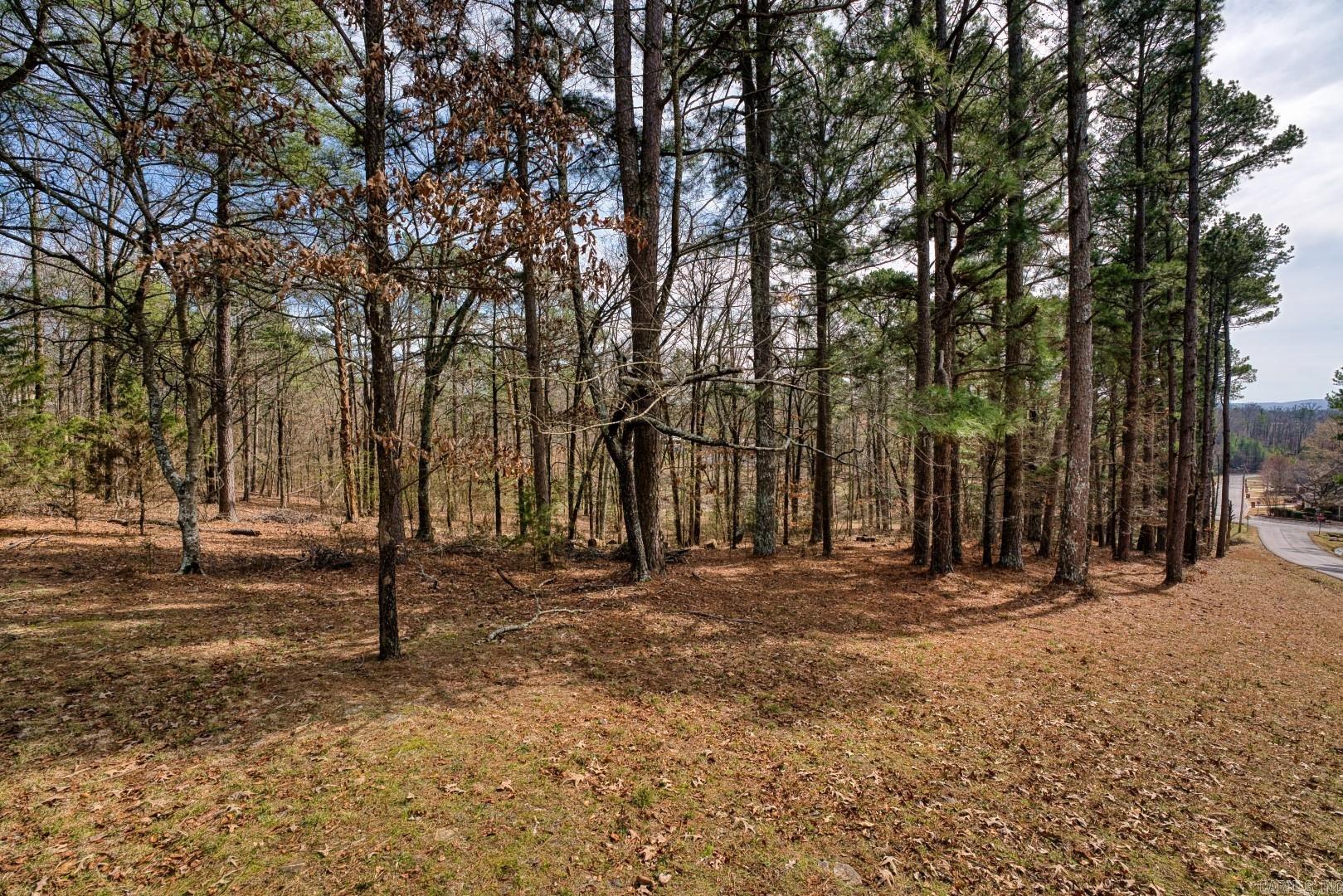 144 A&B-158 A&B  Isaac Lane  Hot Springs, AR