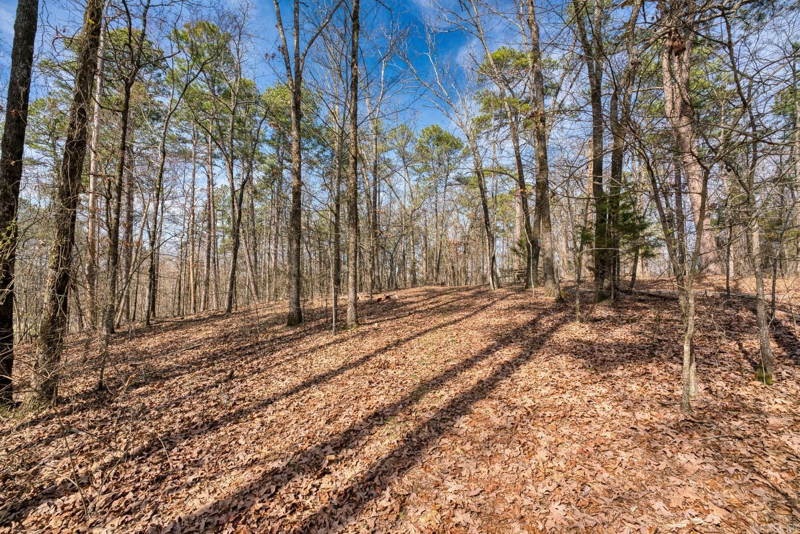 144 A&B-158 A&B  Isaac Lane  Hot Springs, AR