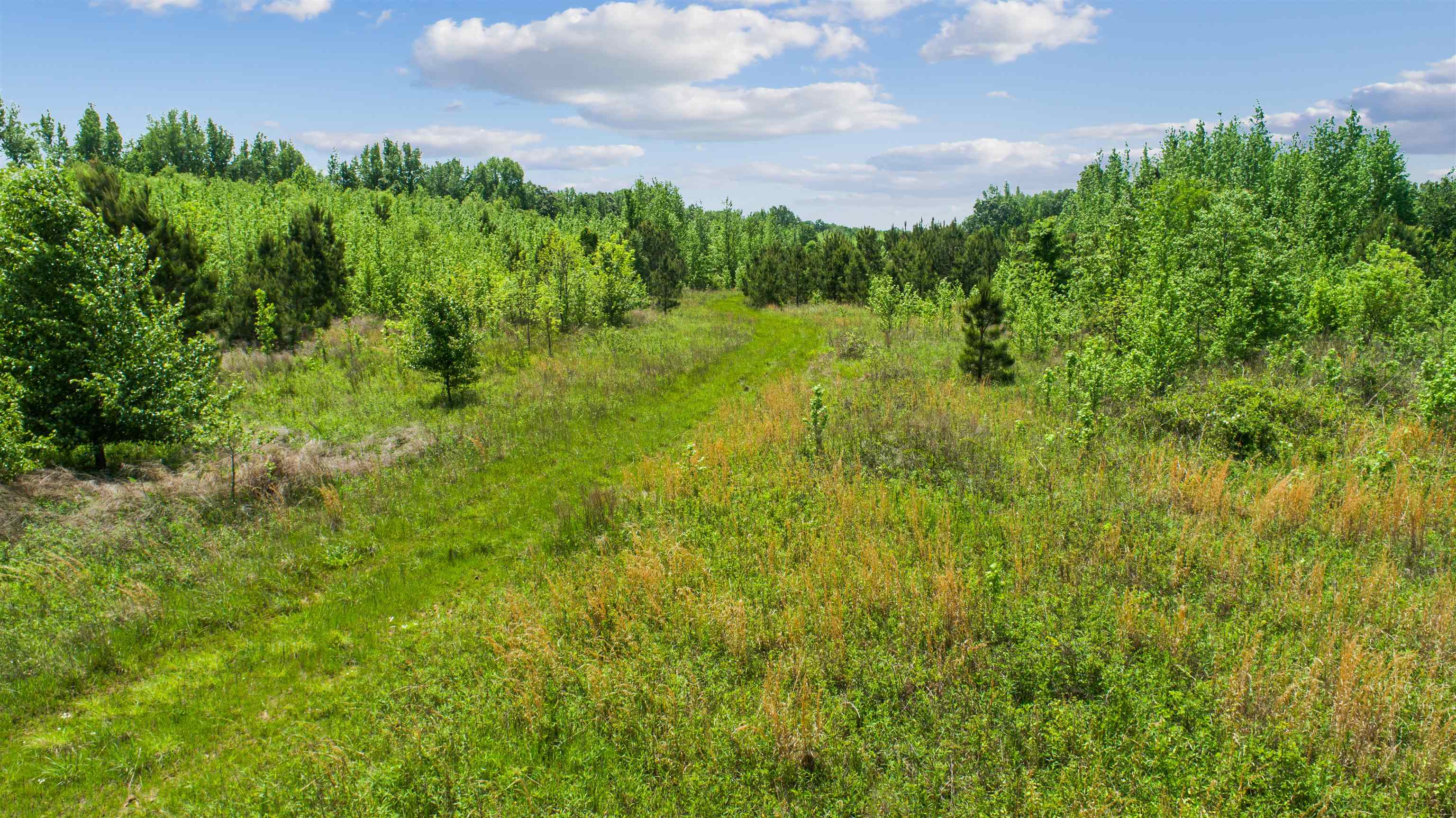 67.78 acres  CR 114  Jonesboro, AR