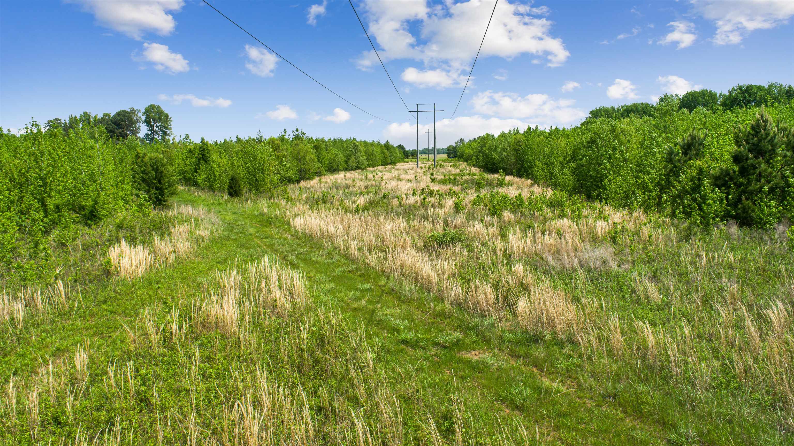 67.78 acres  CR 114  Jonesboro, AR
