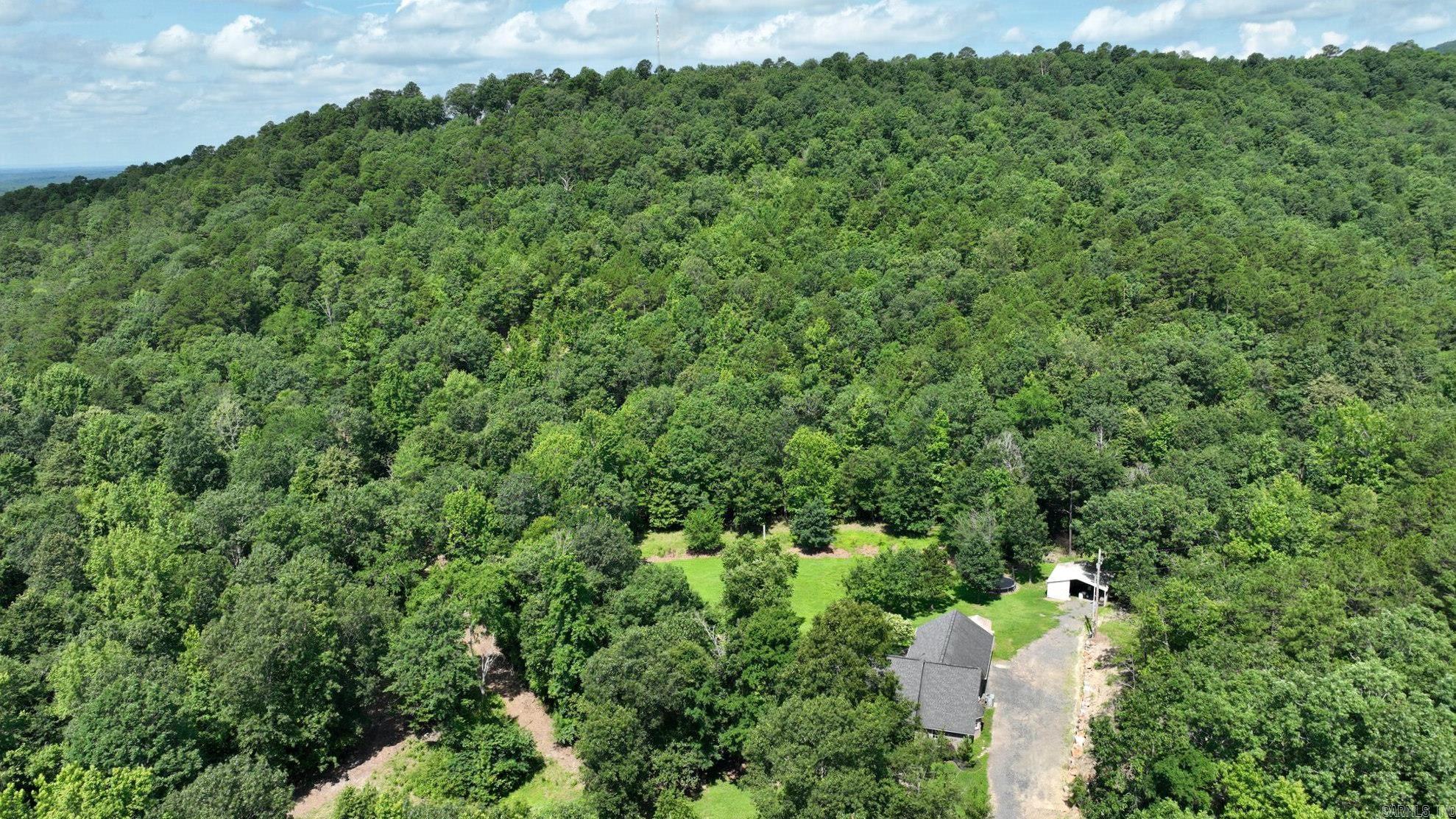 137 Gone Fishin Lane Mena, AR 71953