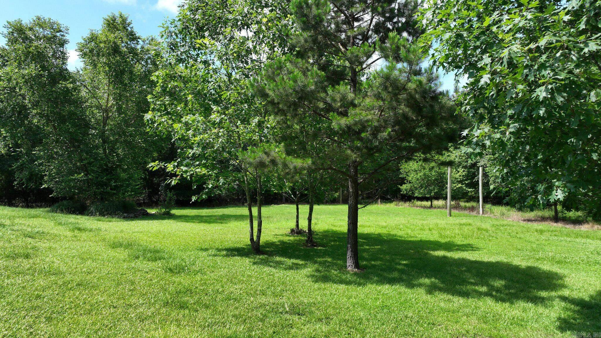 137 Gone Fishin Lane Mena, AR 71953
