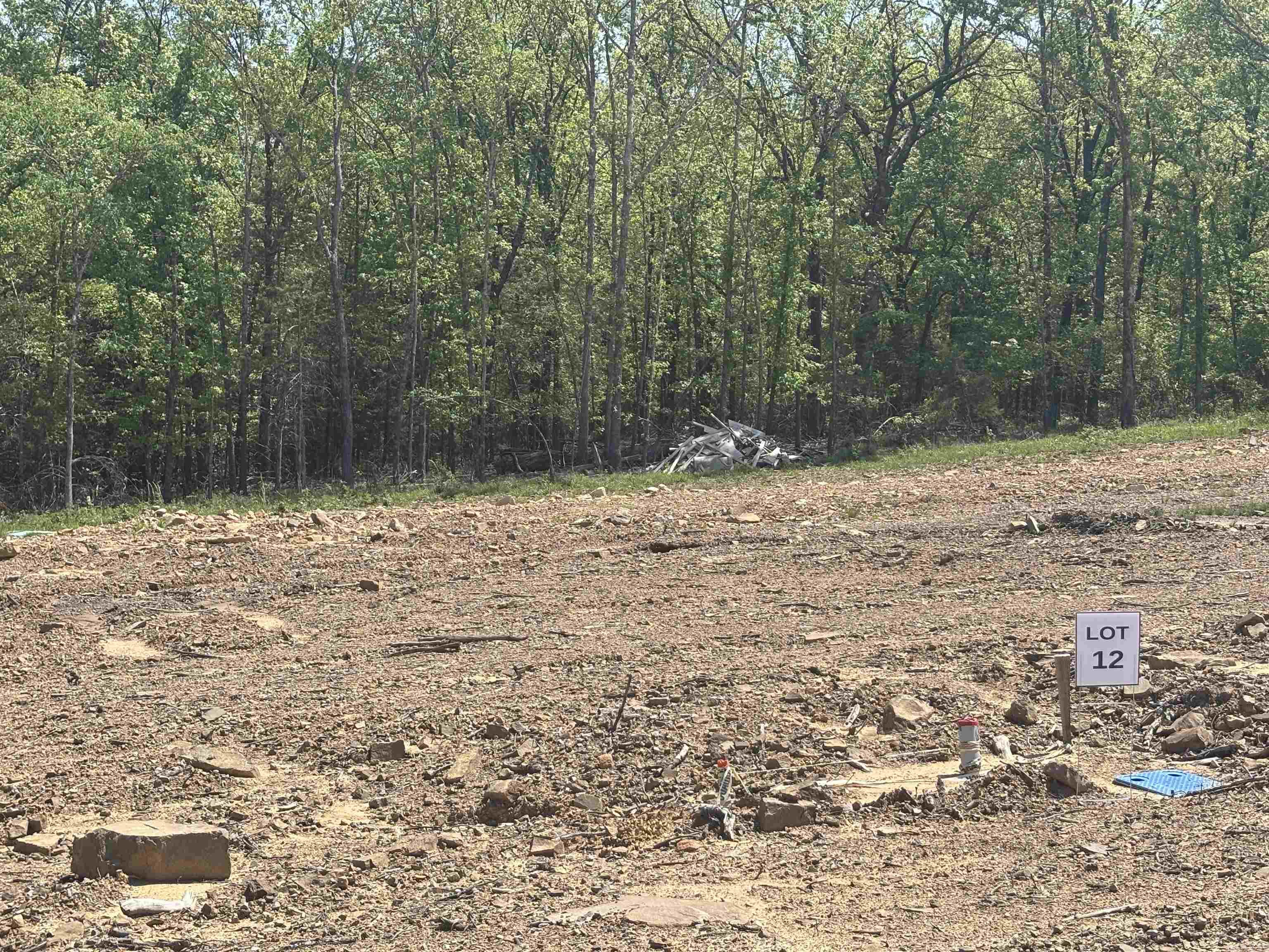 Lot 12  Madeleine  Austin, AR