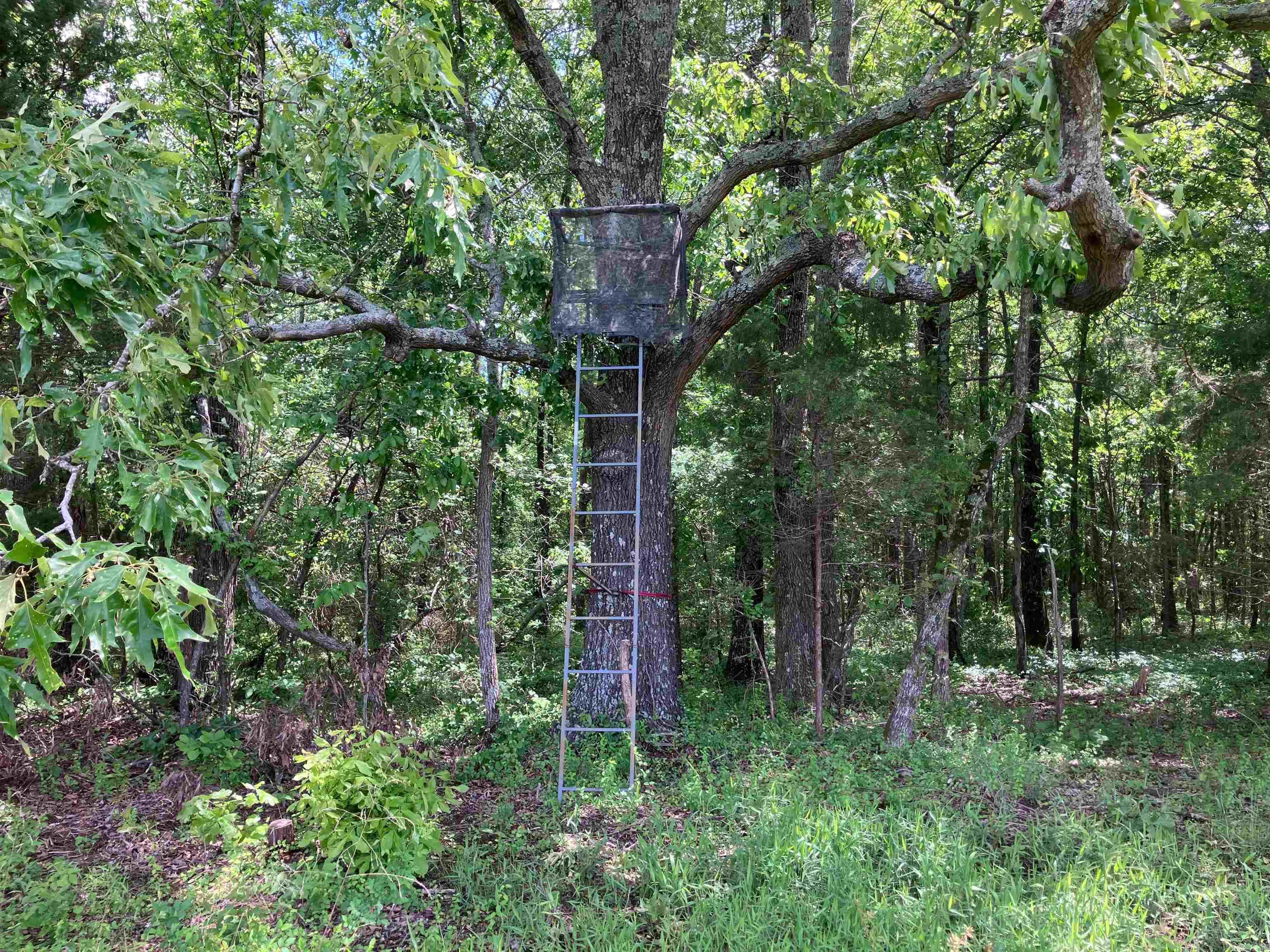 000  Hwy 167  Bradford, AR