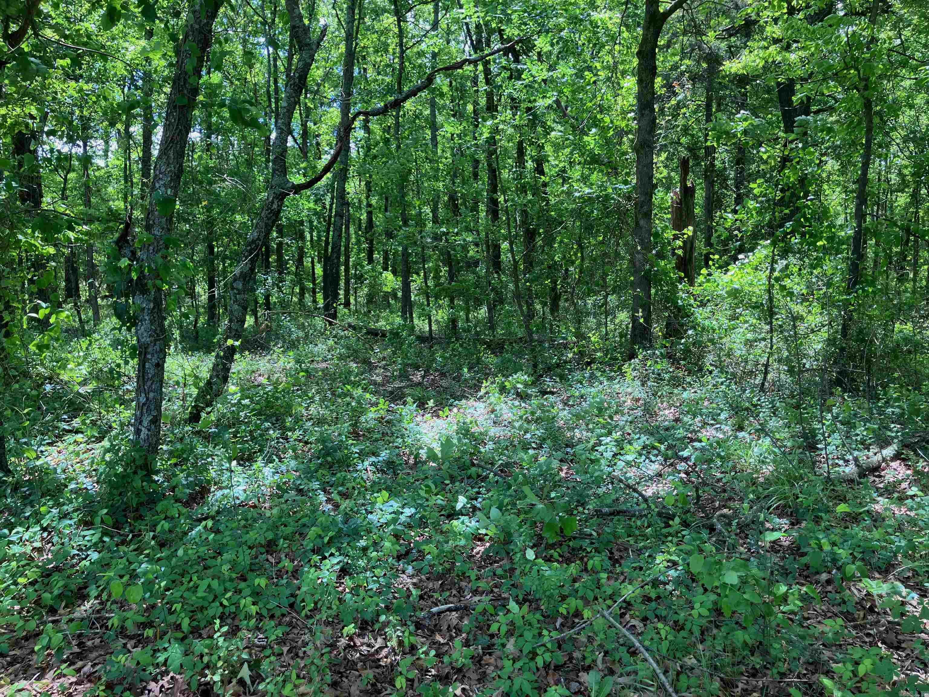 000  Hwy 167  Bradford, AR