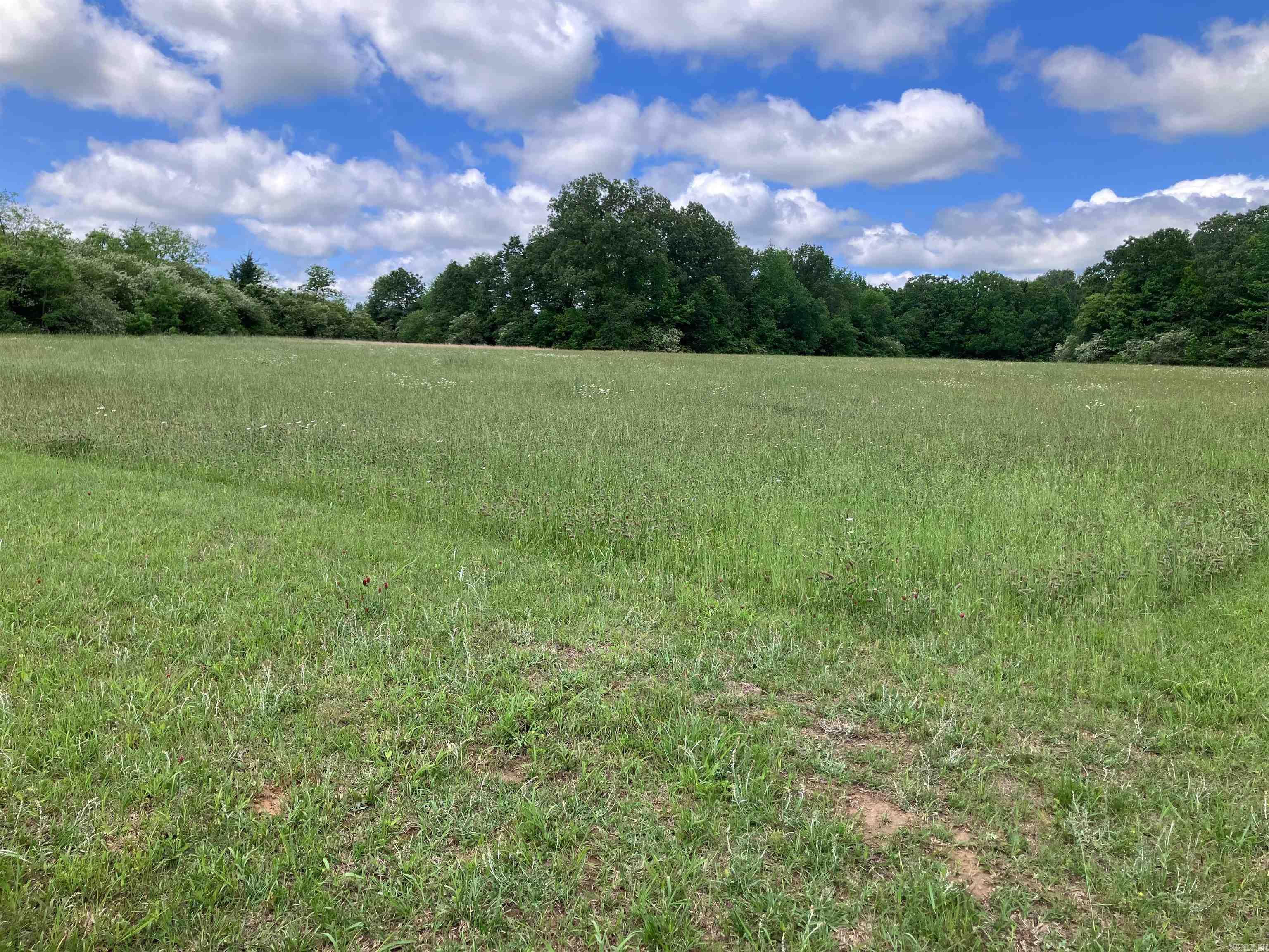 000  Hwy 167  Bradford, AR
