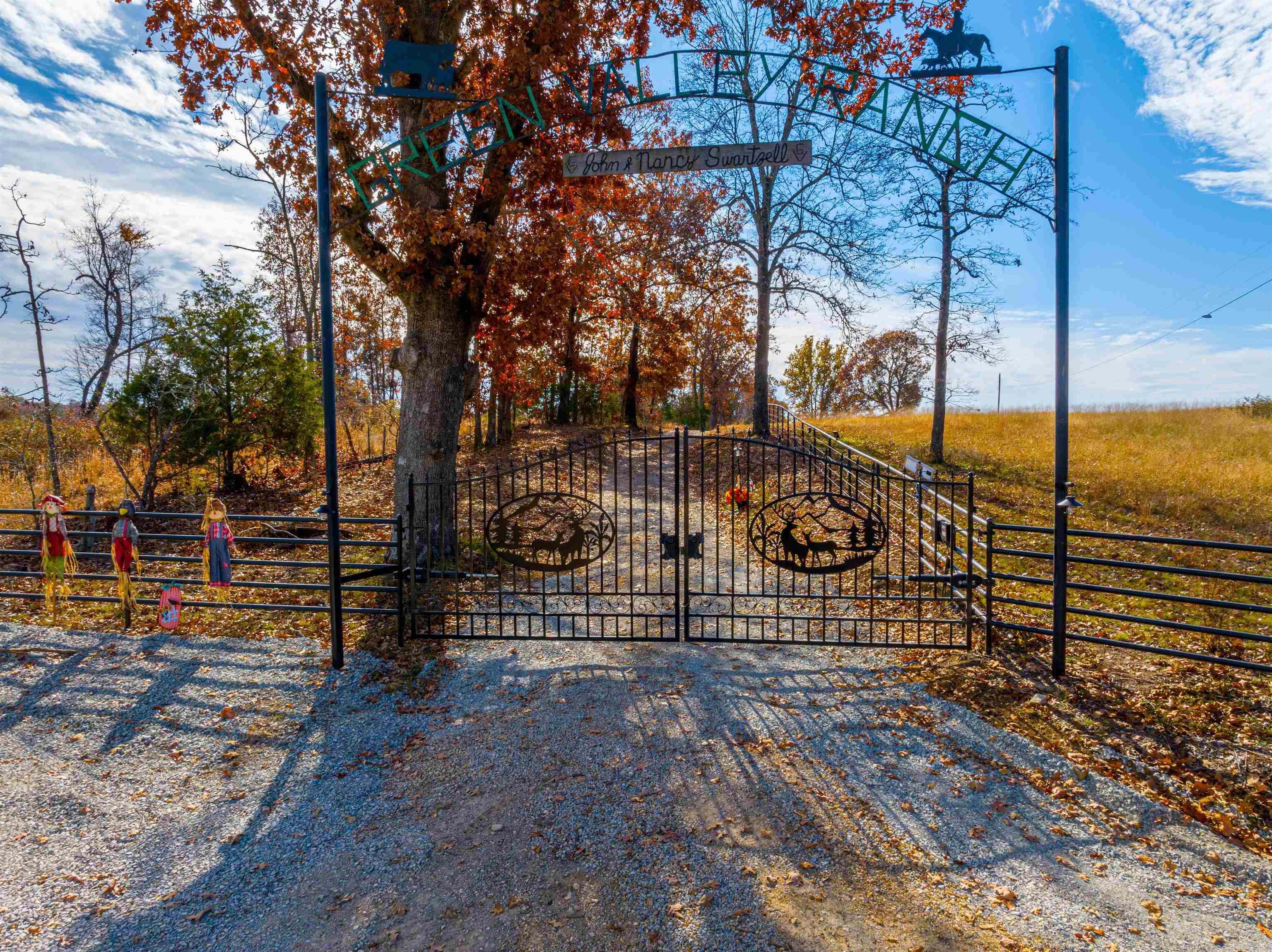 717 Green Valley Ln Viola, AR 72583