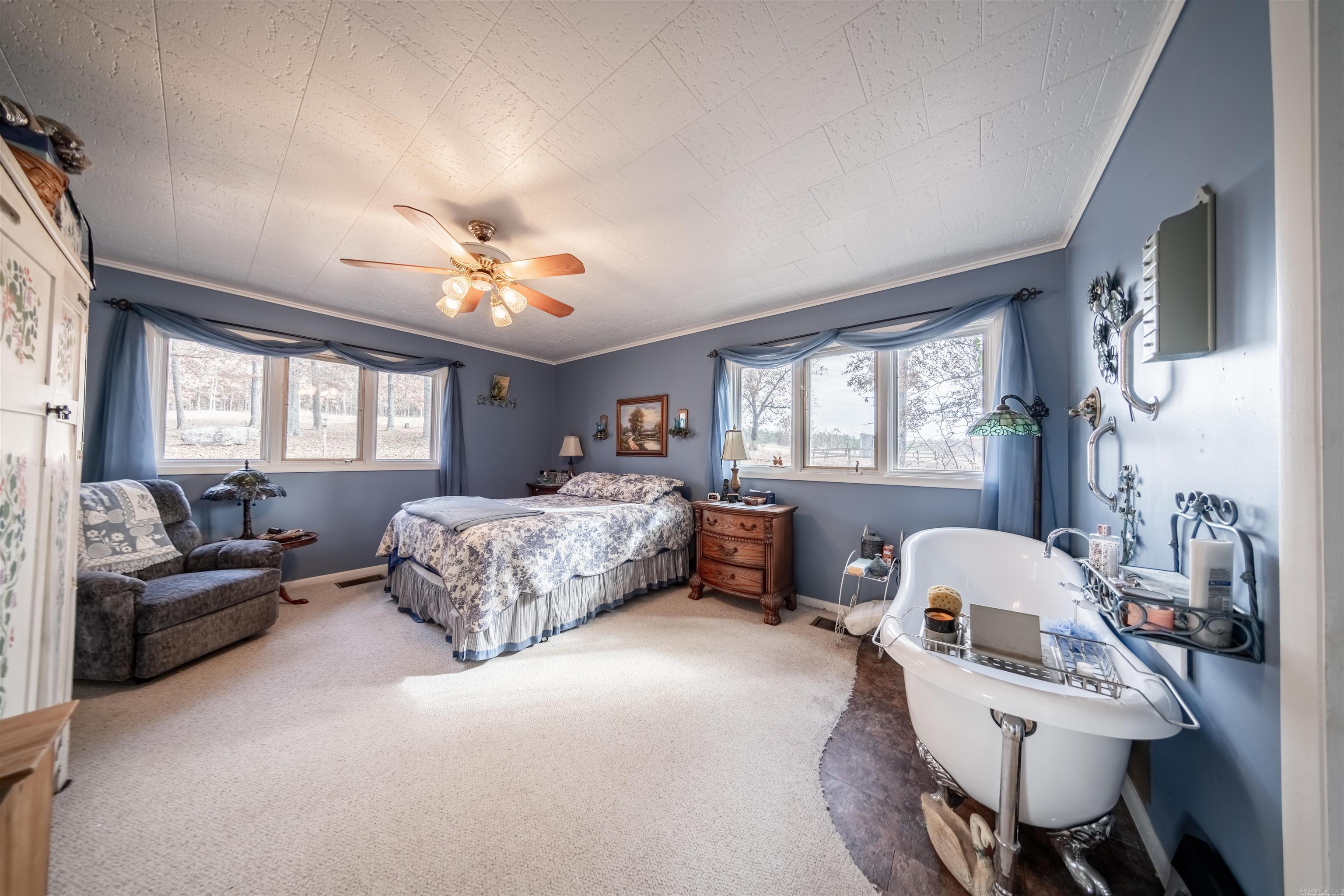 717 Green Valley Ln Viola, AR 72583