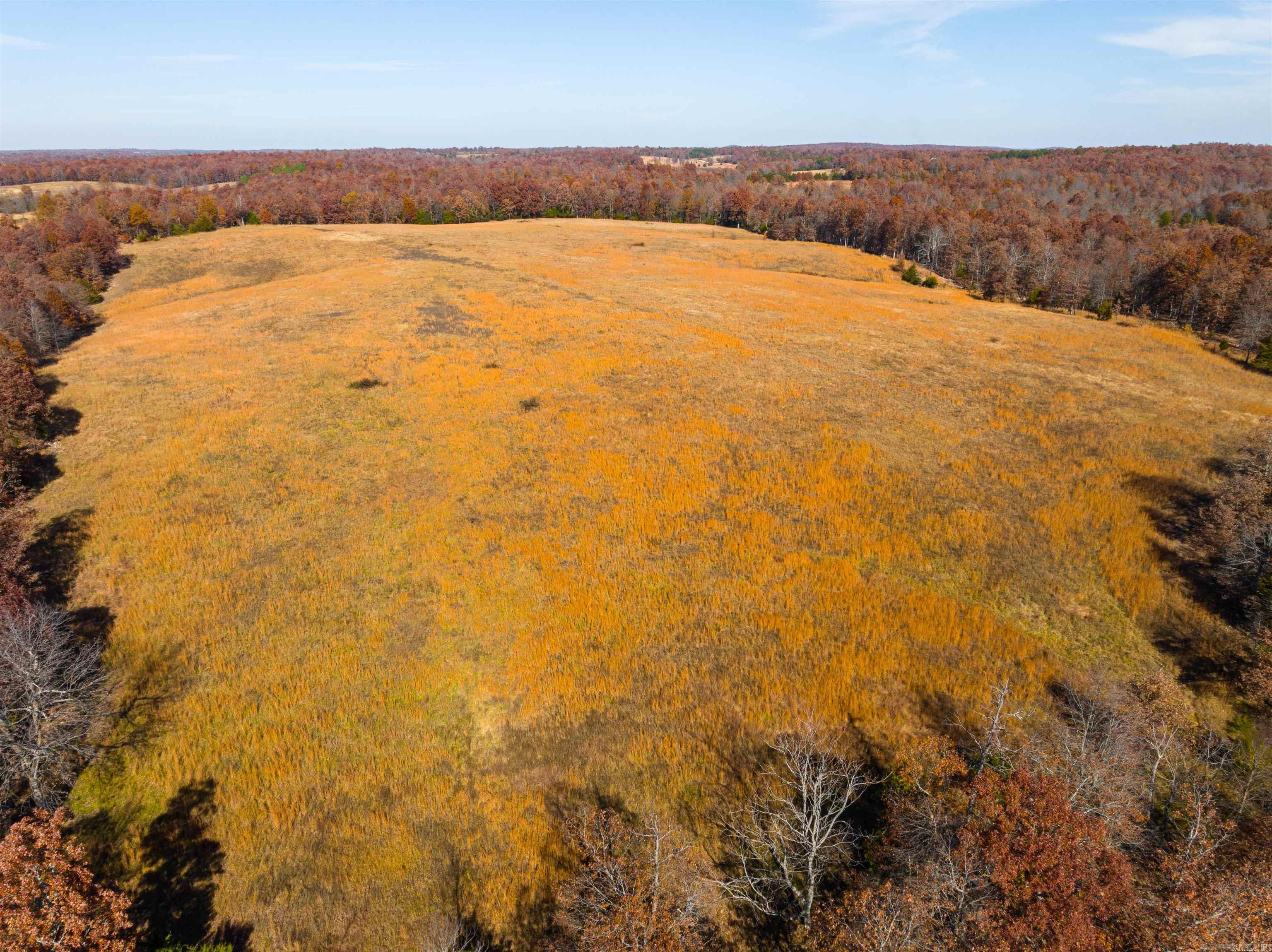 717 Green Valley Ln Viola, AR 72583