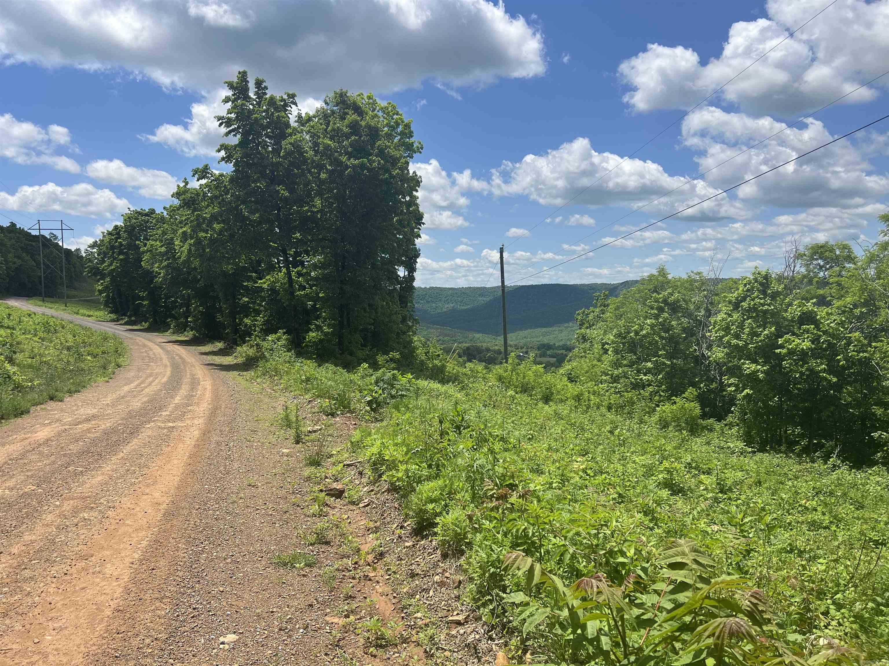 TBD  Lick Fork Rd  Witt Springs, AR